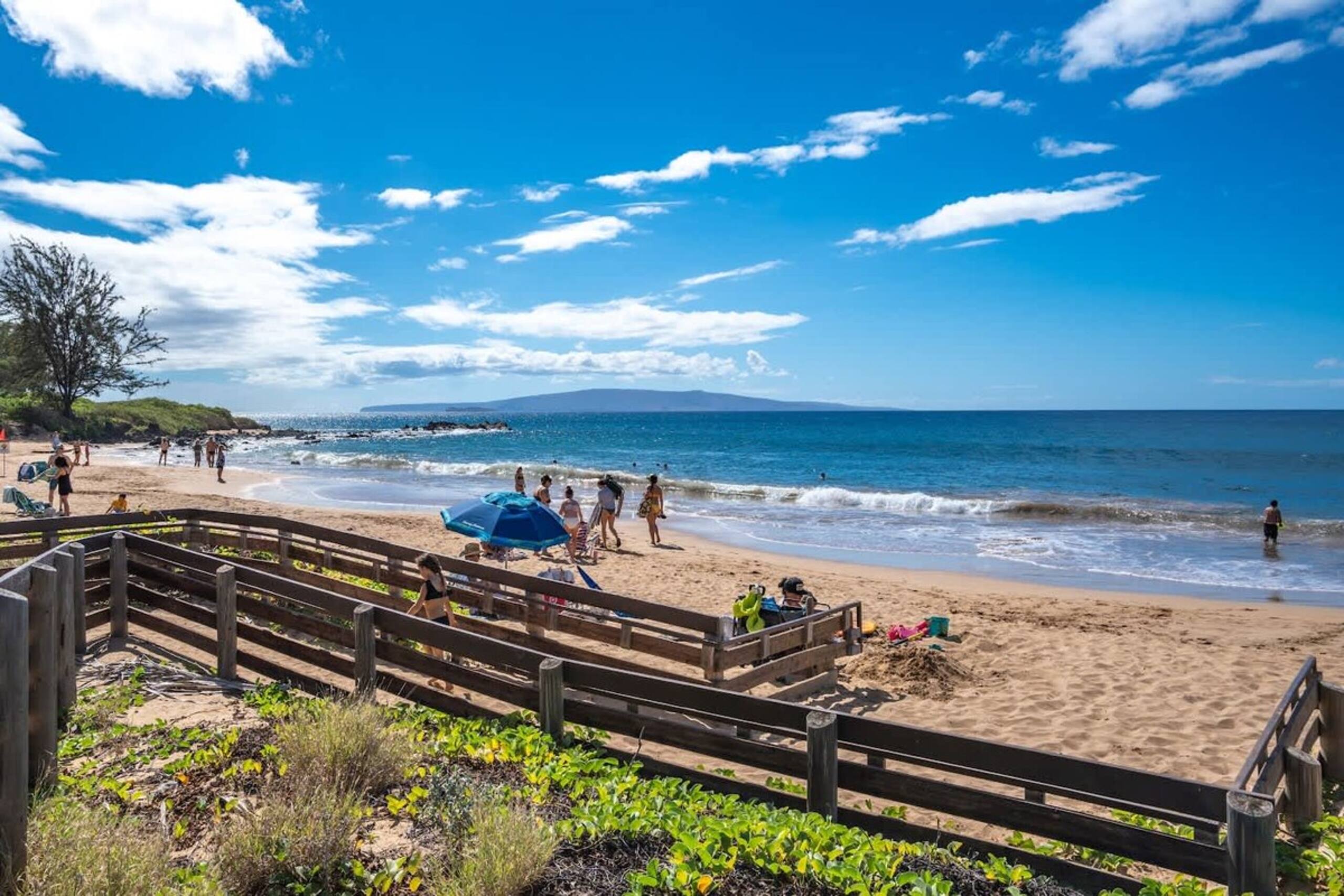 Stylish Hawaiian Tropical Oceanview Vistas - Photo 37