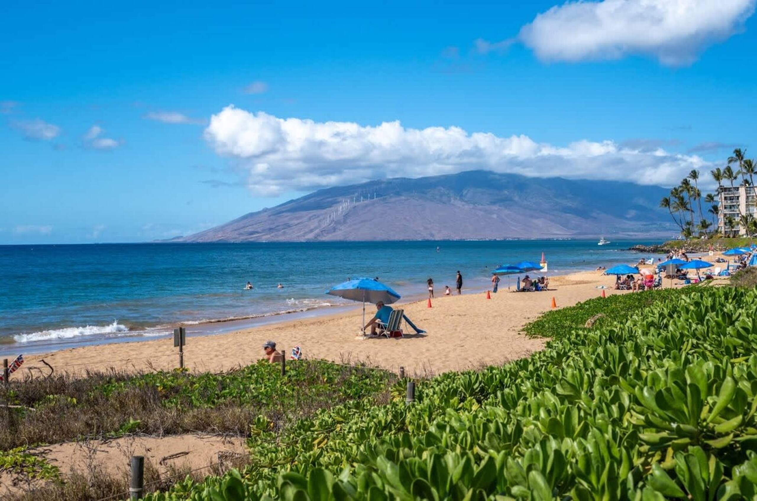 Stylish Hawaiian Tropical Oceanview Vistas - Photo 36