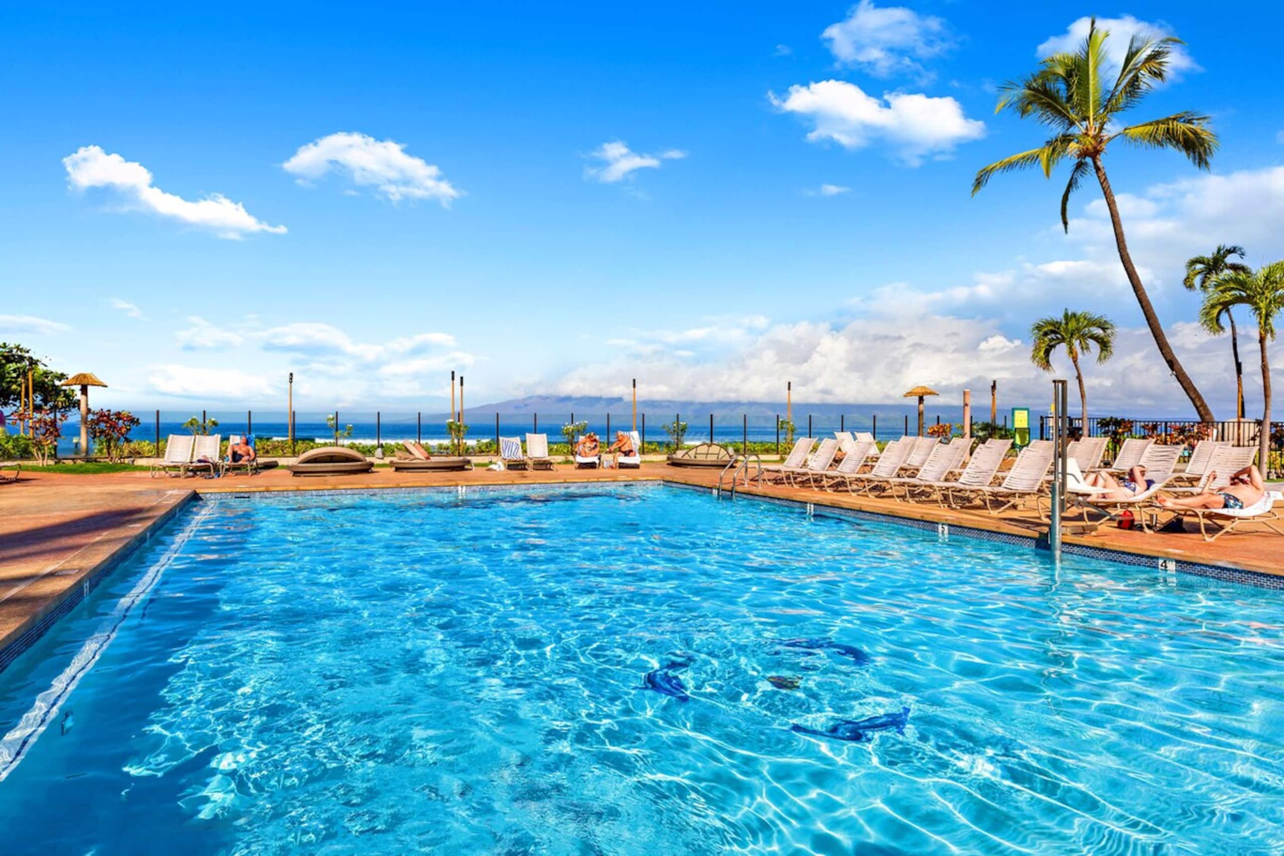 Paradise found, ocean views, lush vibes - Photo 36