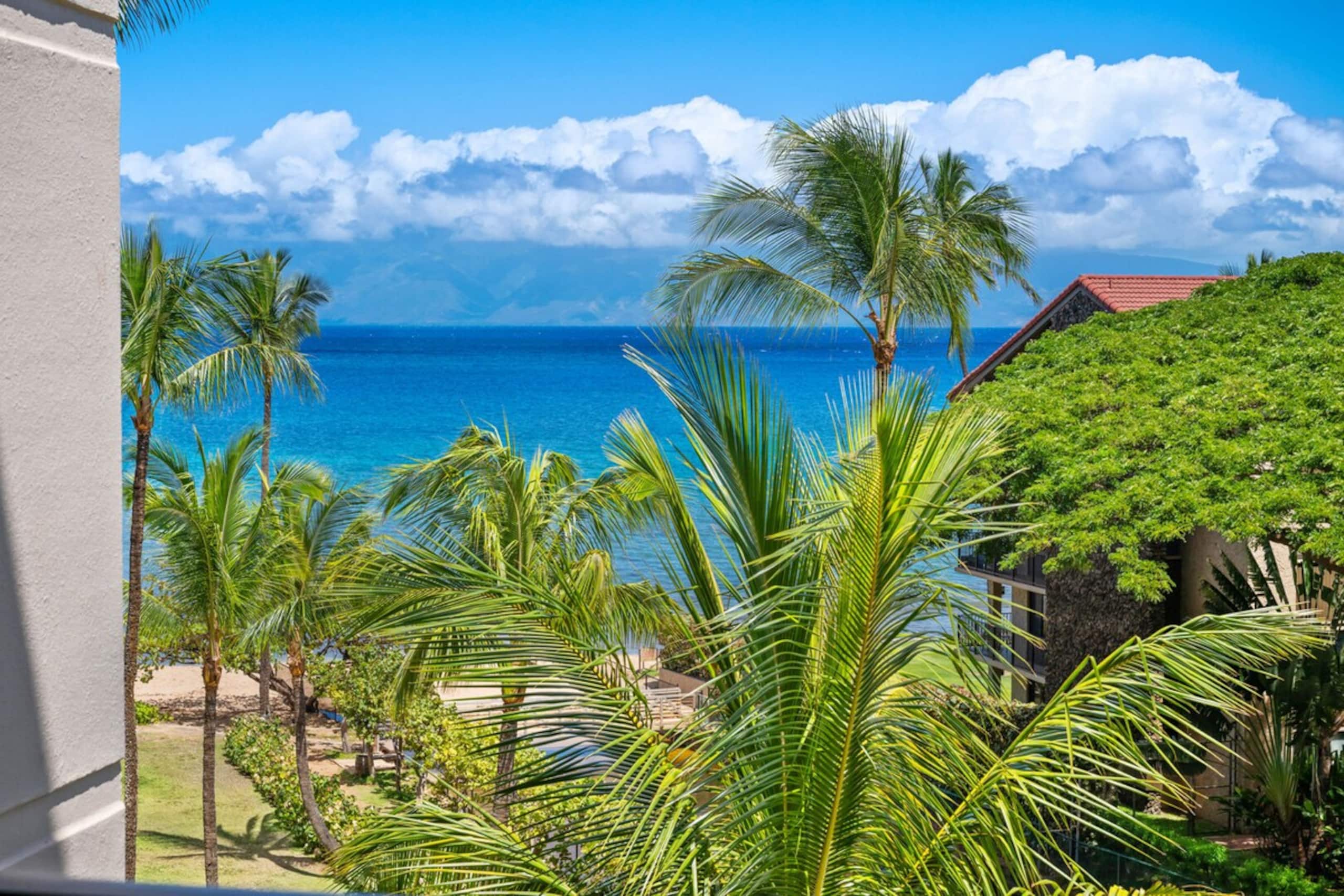 Paradise found, ocean views, lush vibes - Photo 23