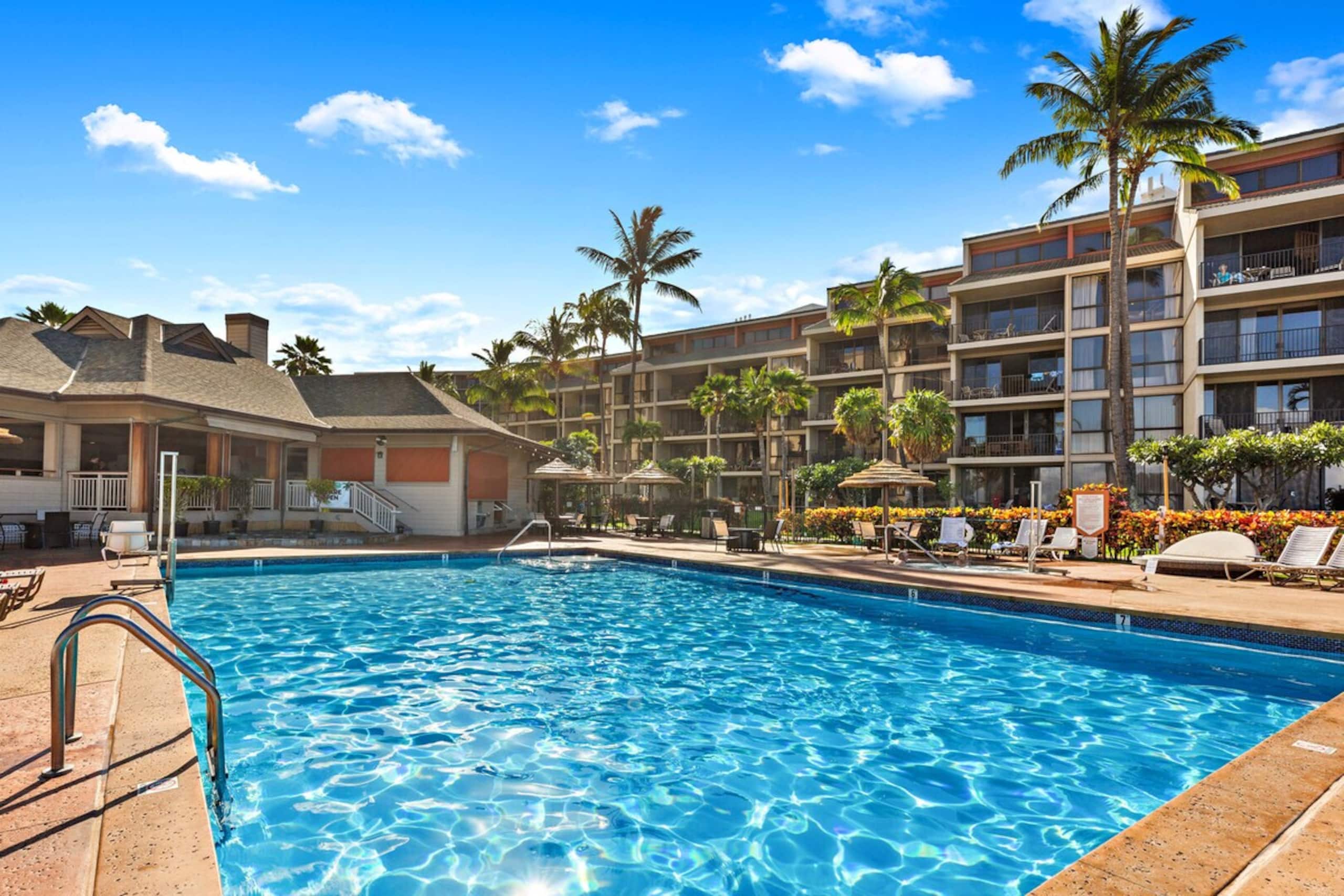 Paradise found, ocean views, lush vibes - Photo 35