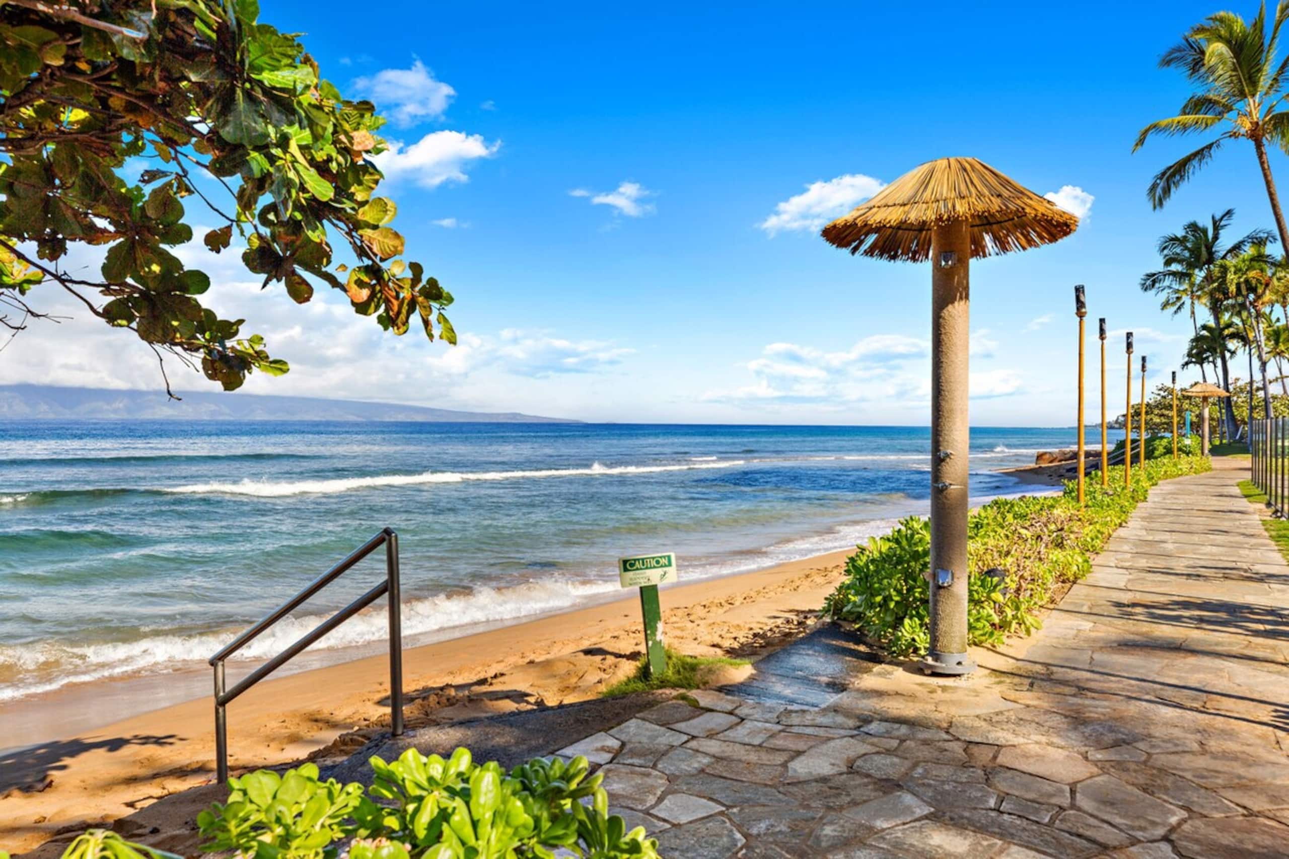 Paradise found, ocean views, lush vibes - Photo 39