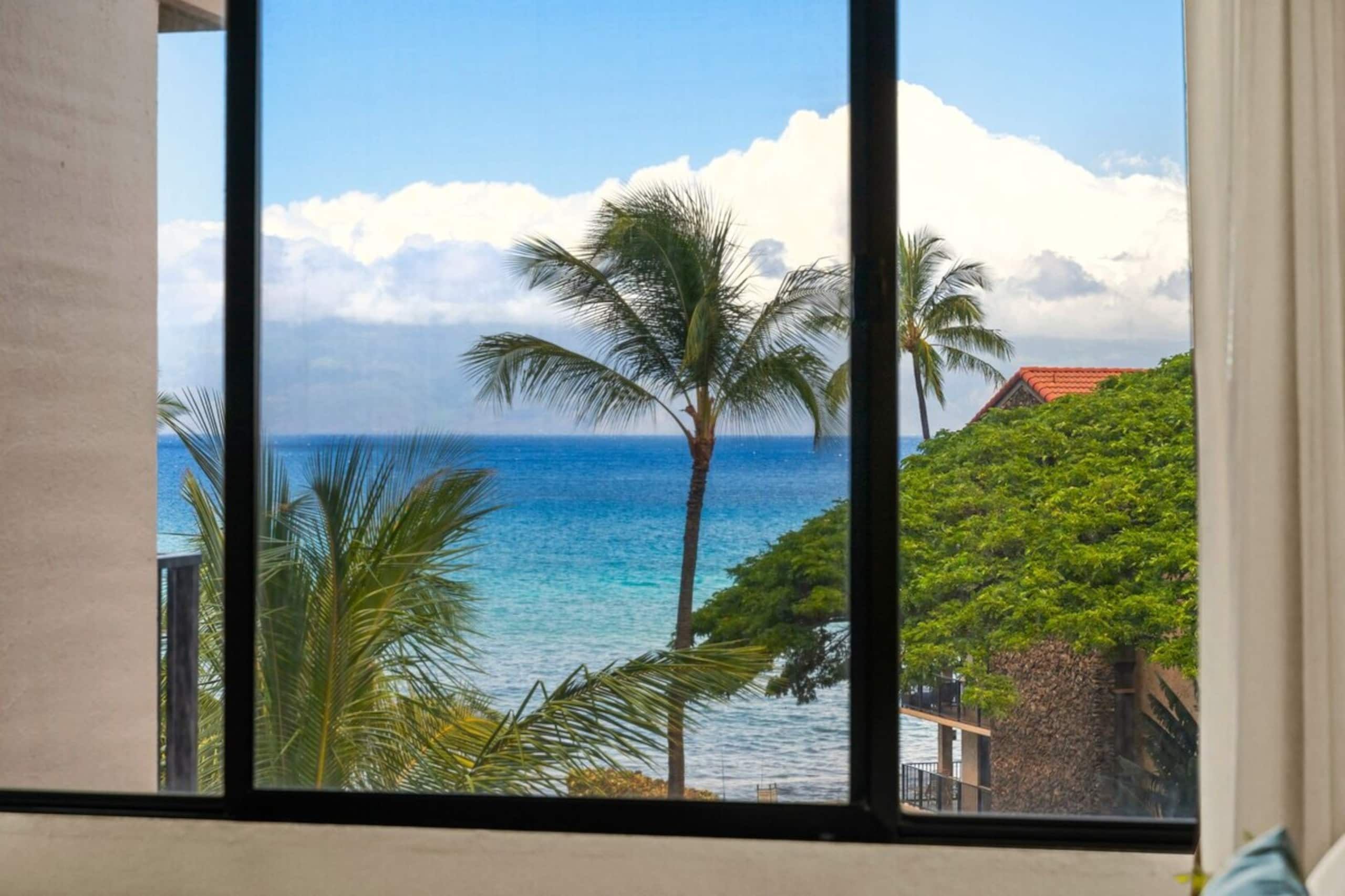 Paradise found, ocean views, lush vibes - Photo 17