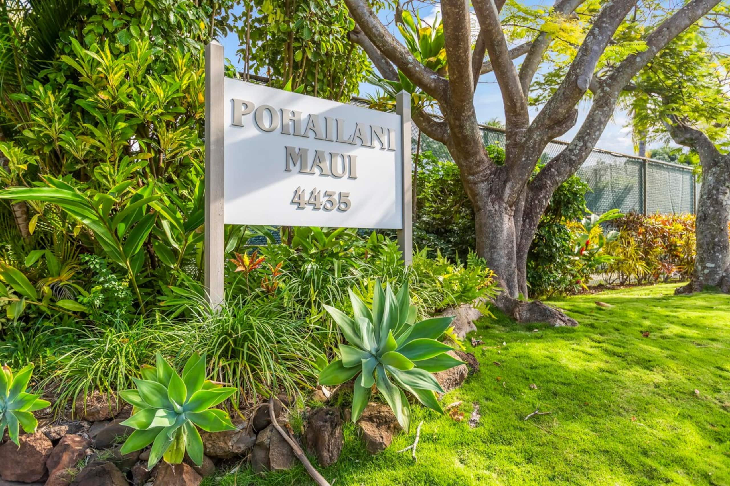 Maui direct ocean front . Super private - Photo 30