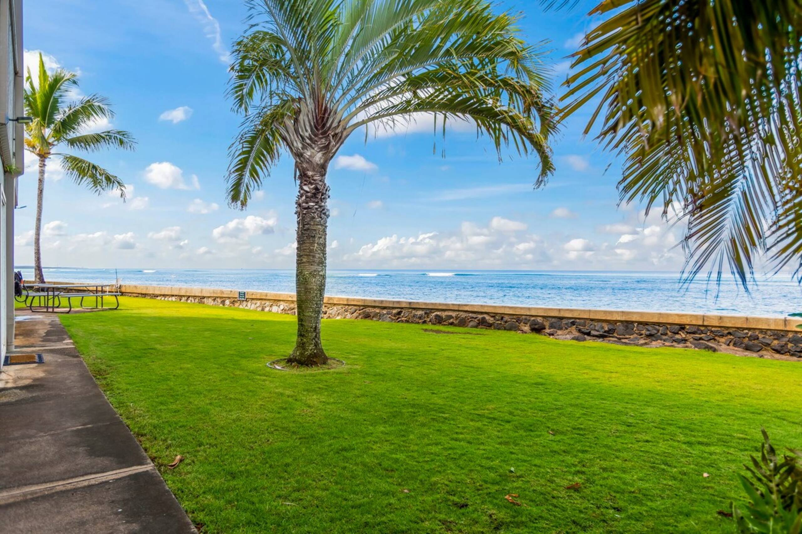 Maui direct ocean front . Super private - Photo 31