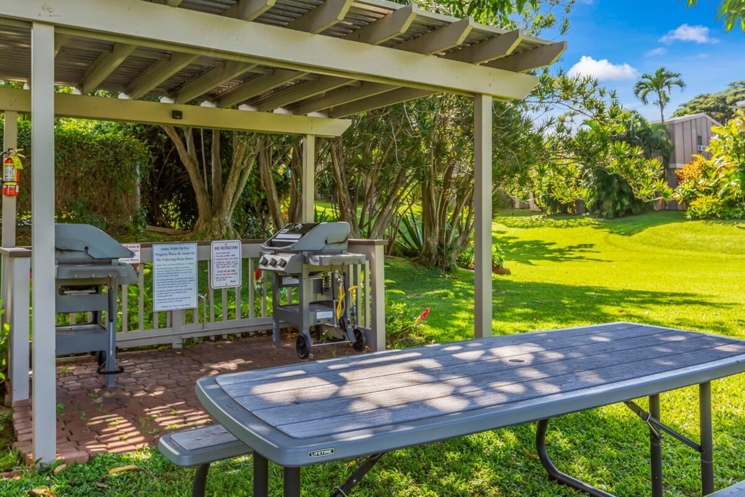 Maui direct ocean front . Super private - Photo 34