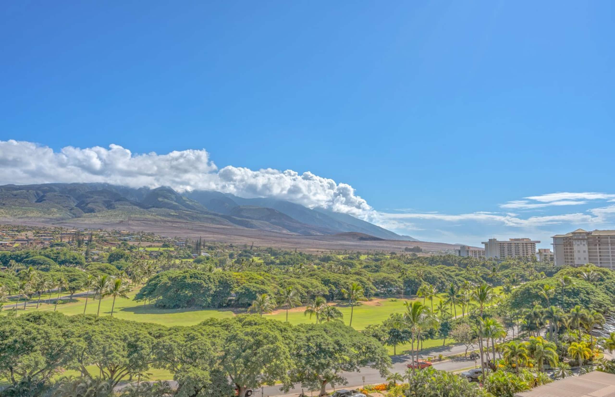 Maui Resort Rentals Kaanapali Alii 495 - Photo 32