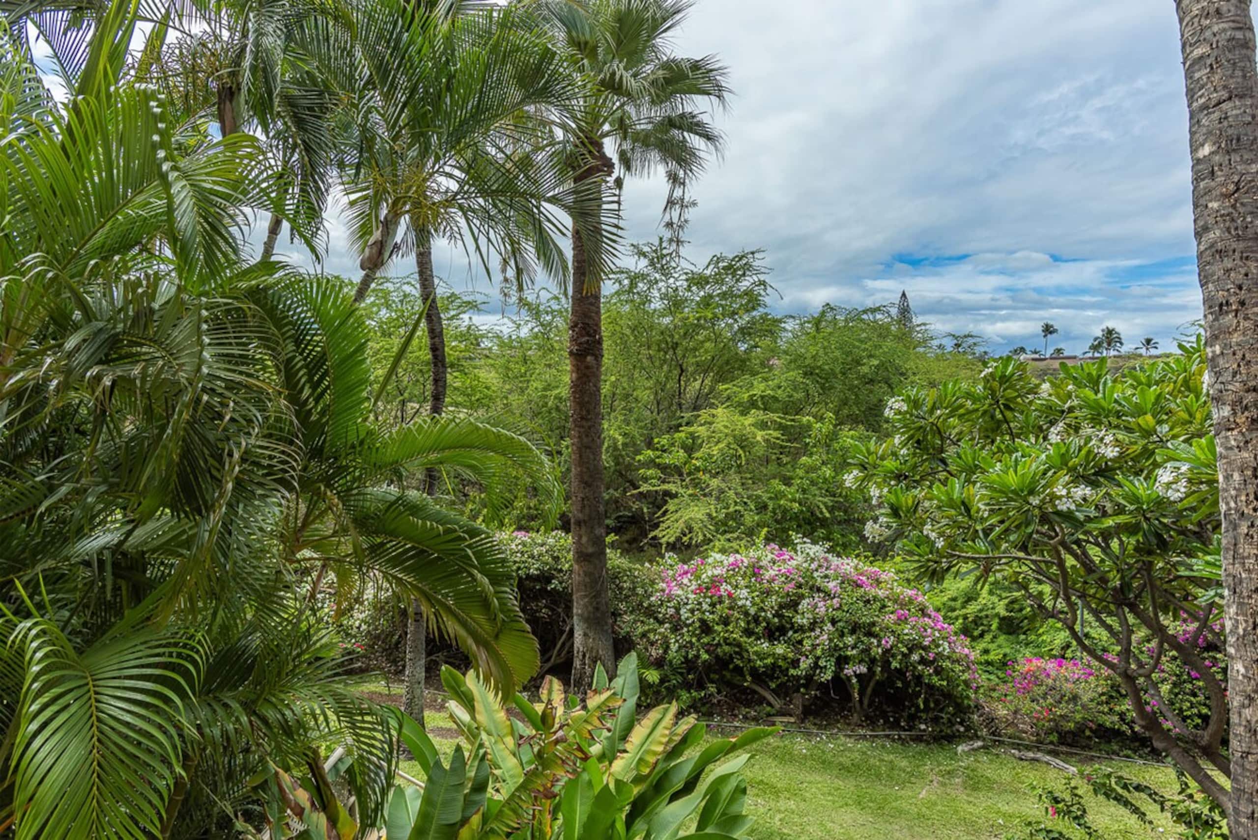 Maui Banyan H205 Steps from Kamaole II Beach - Photo 28