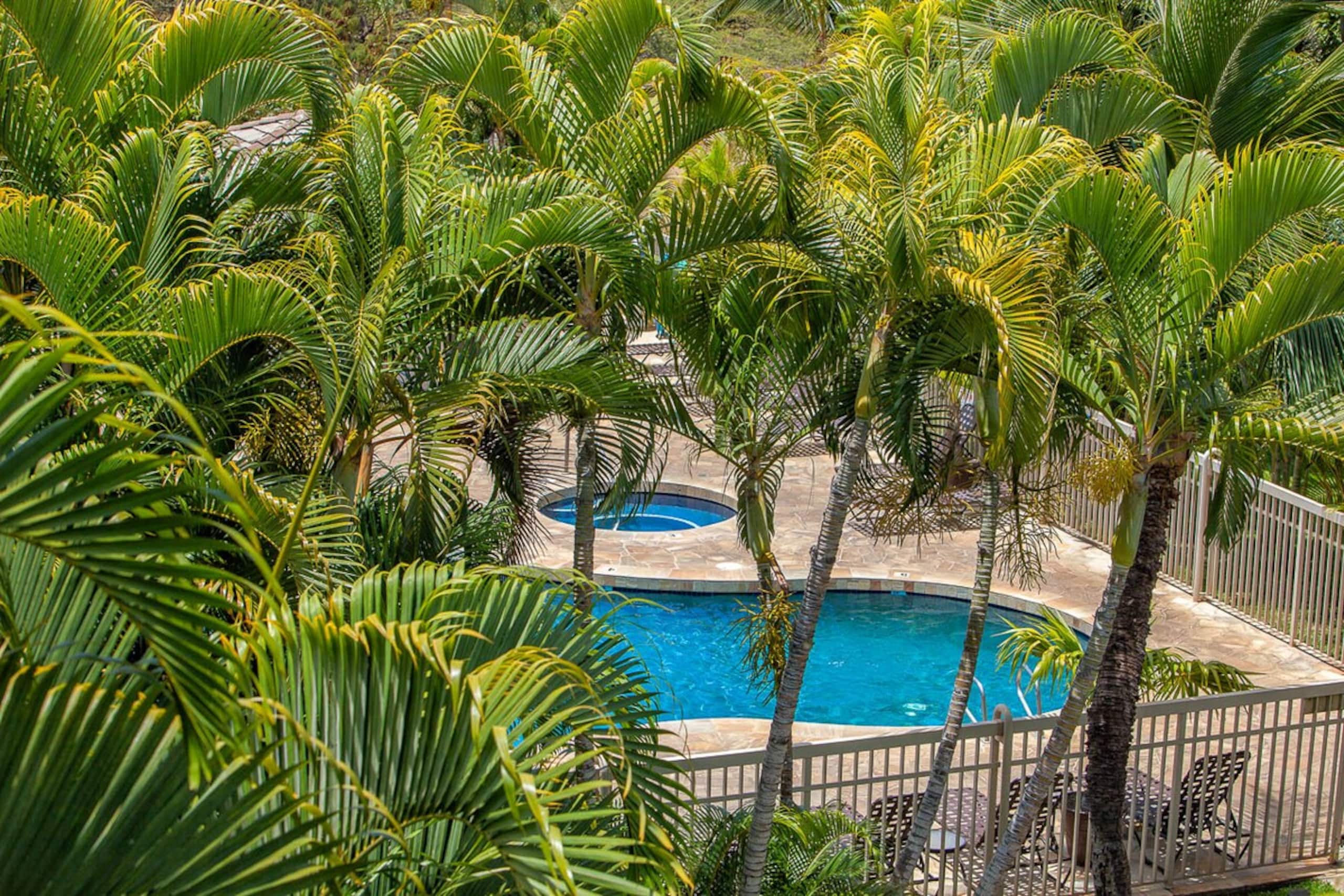 Maui Banyan H205 Steps from Kamaole II Beach - Photo 32