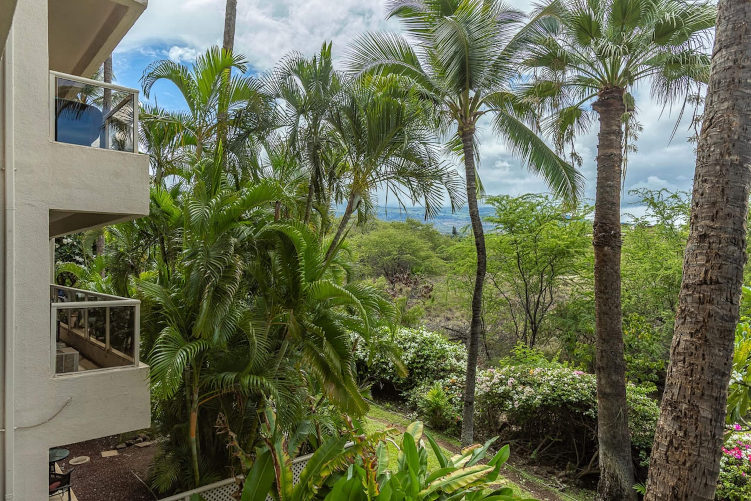 Maui Banyan H205 Steps from Kamaole II Beach - Photo 35