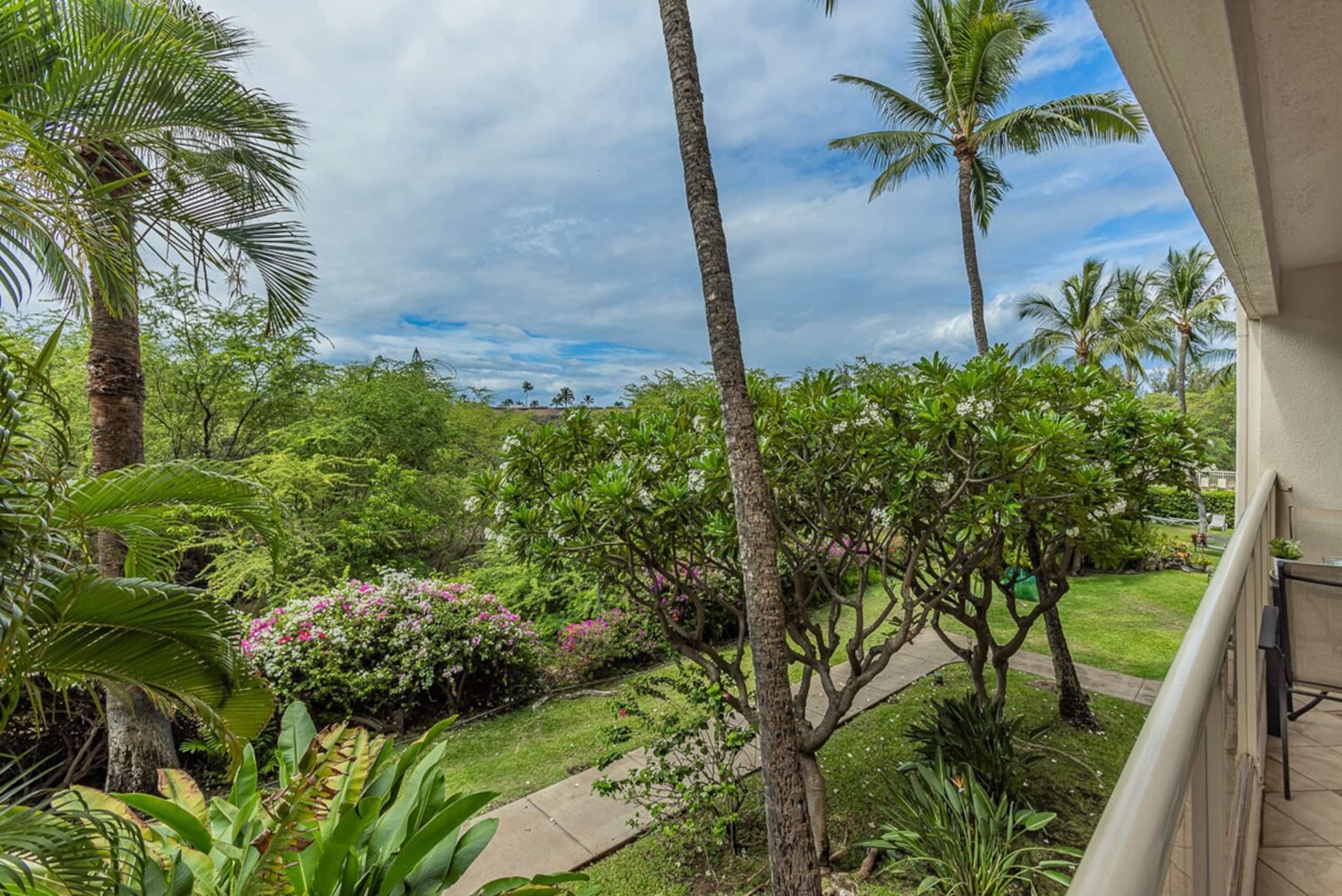 Maui Banyan H205 Steps from Kamaole II Beach - Photo 27