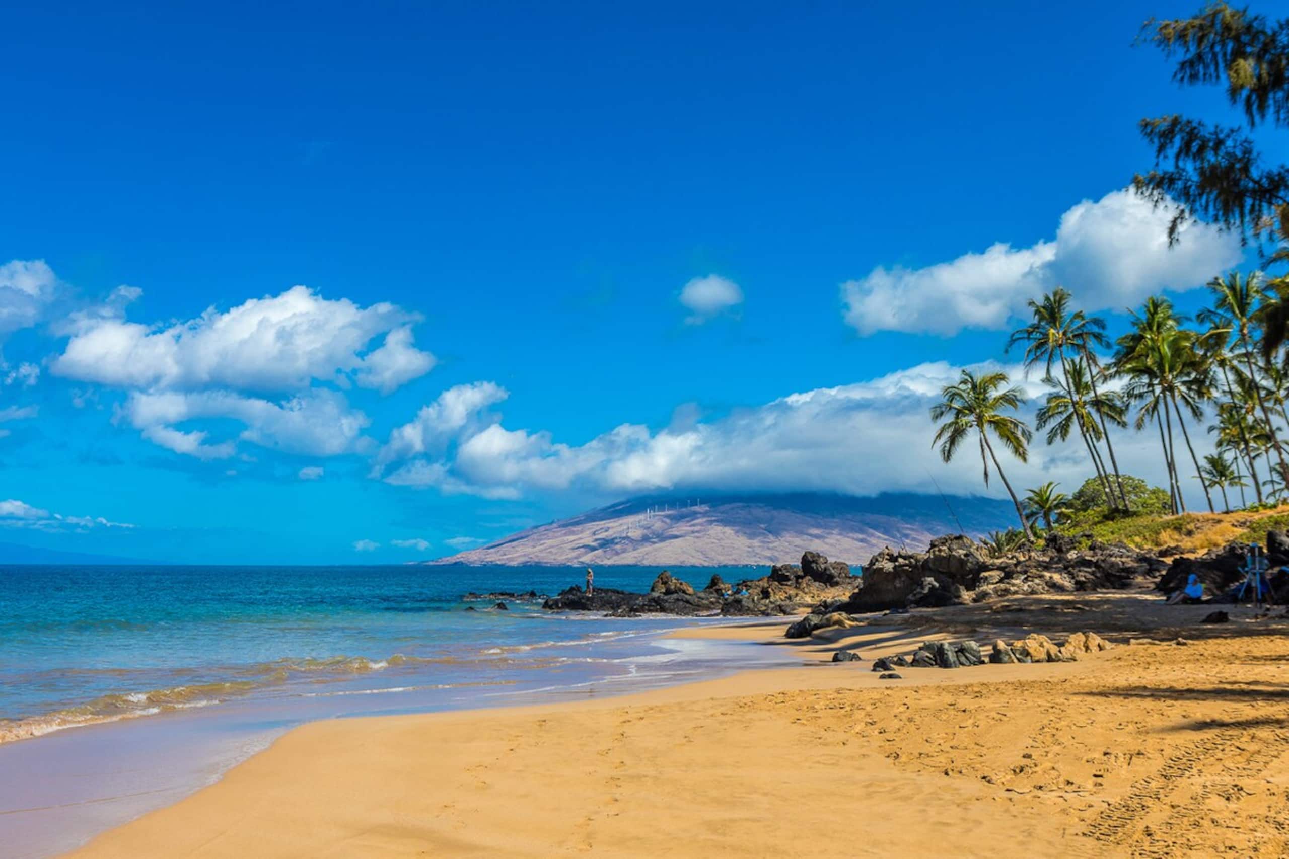 Maui Banyan H205 Steps from Kamaole II Beach - Photo 42