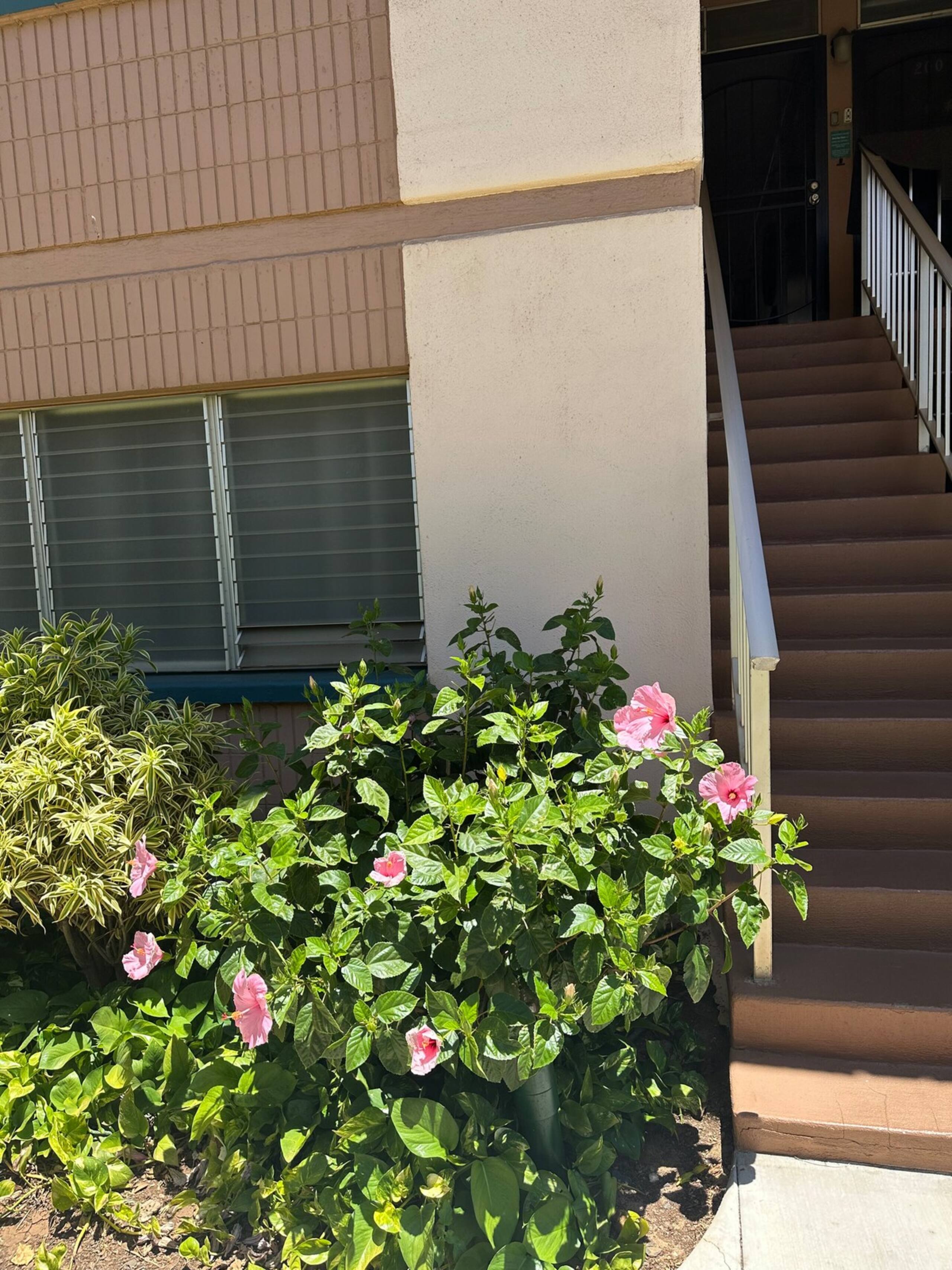 Ocean View - Deluxe Unit 201 - Photo 9
