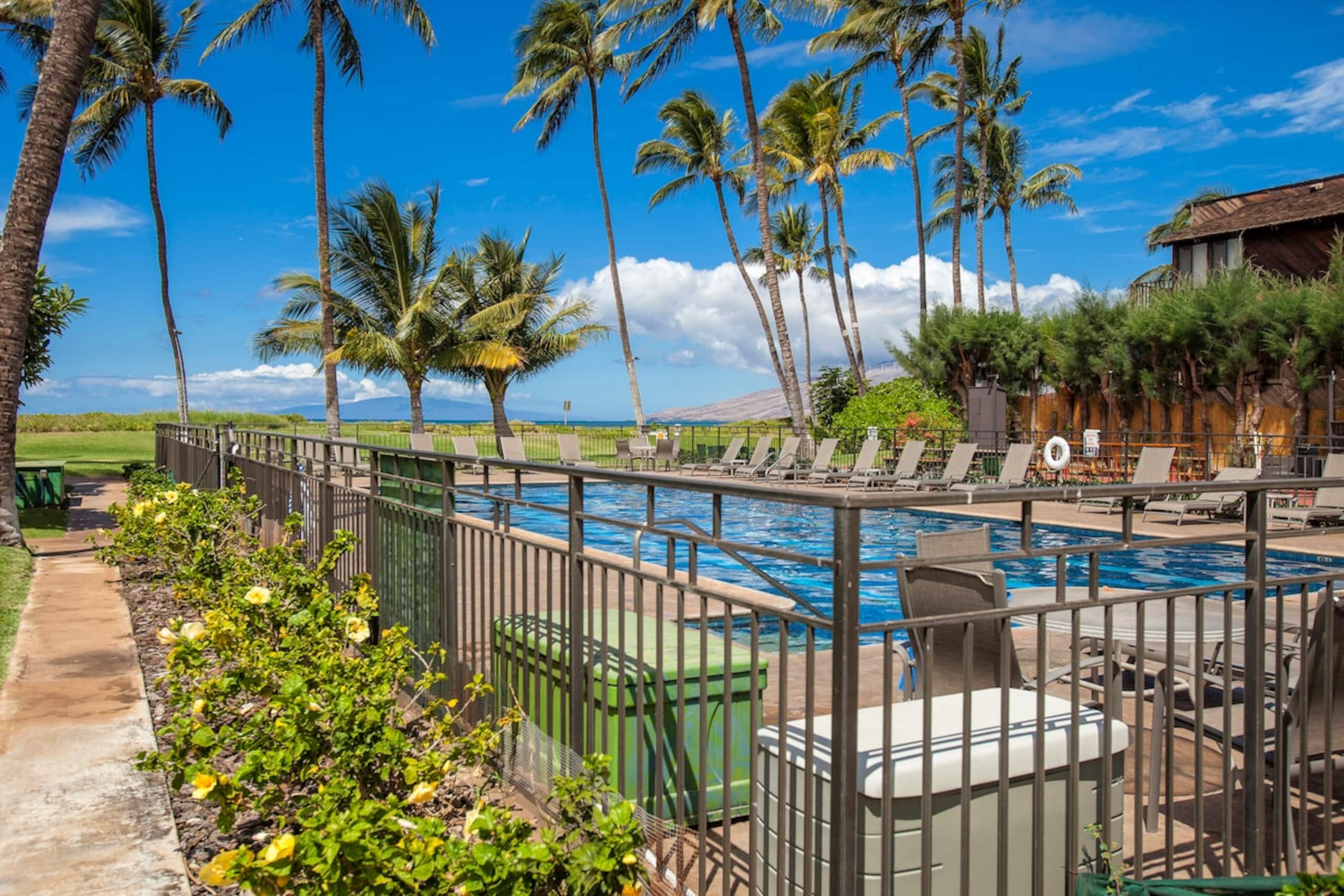 Oceanfront Complex Great Location Wifi WB118 - Photo 21