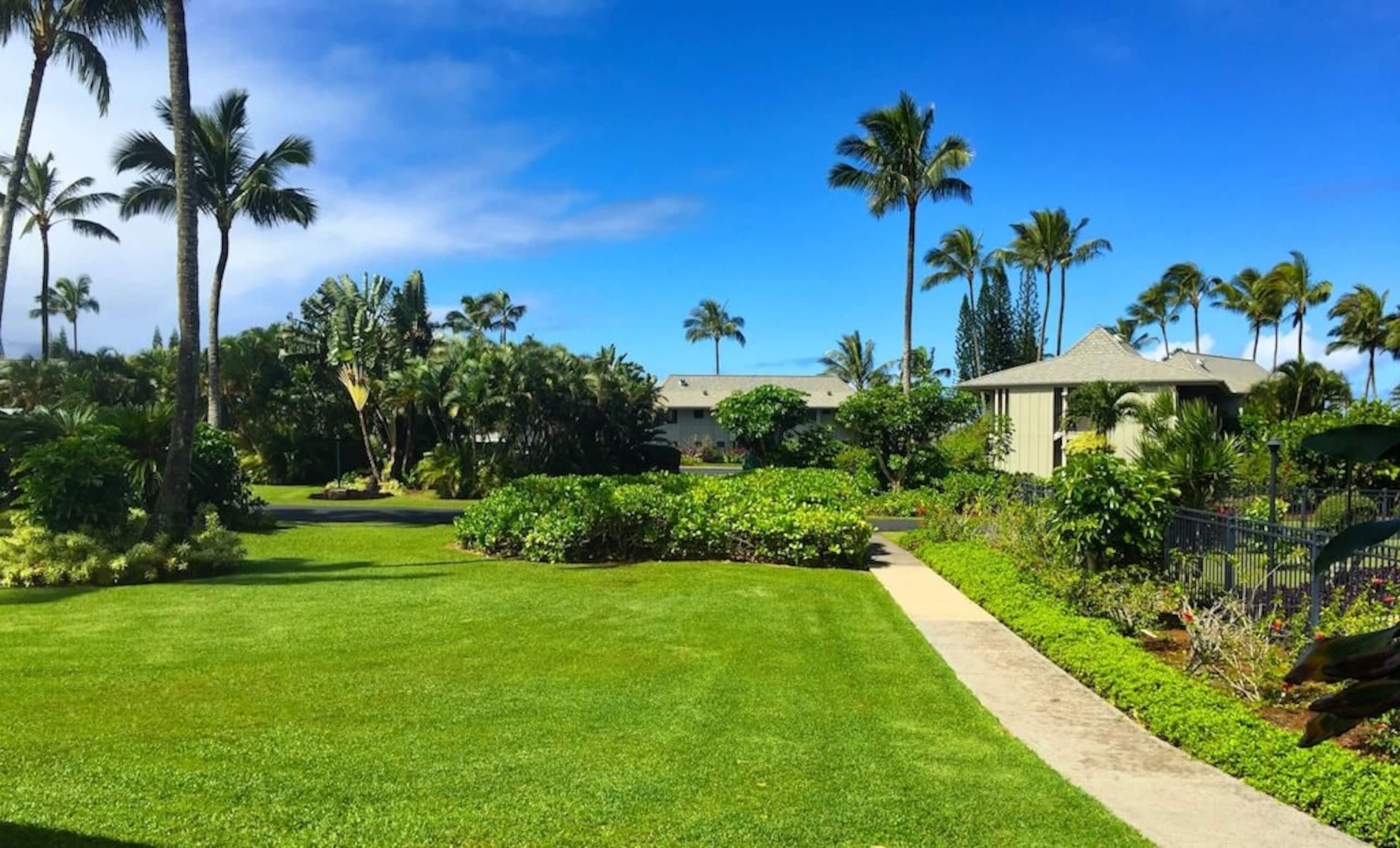 Romance & Luxury in Paradise Newly Appointed - Photo 9