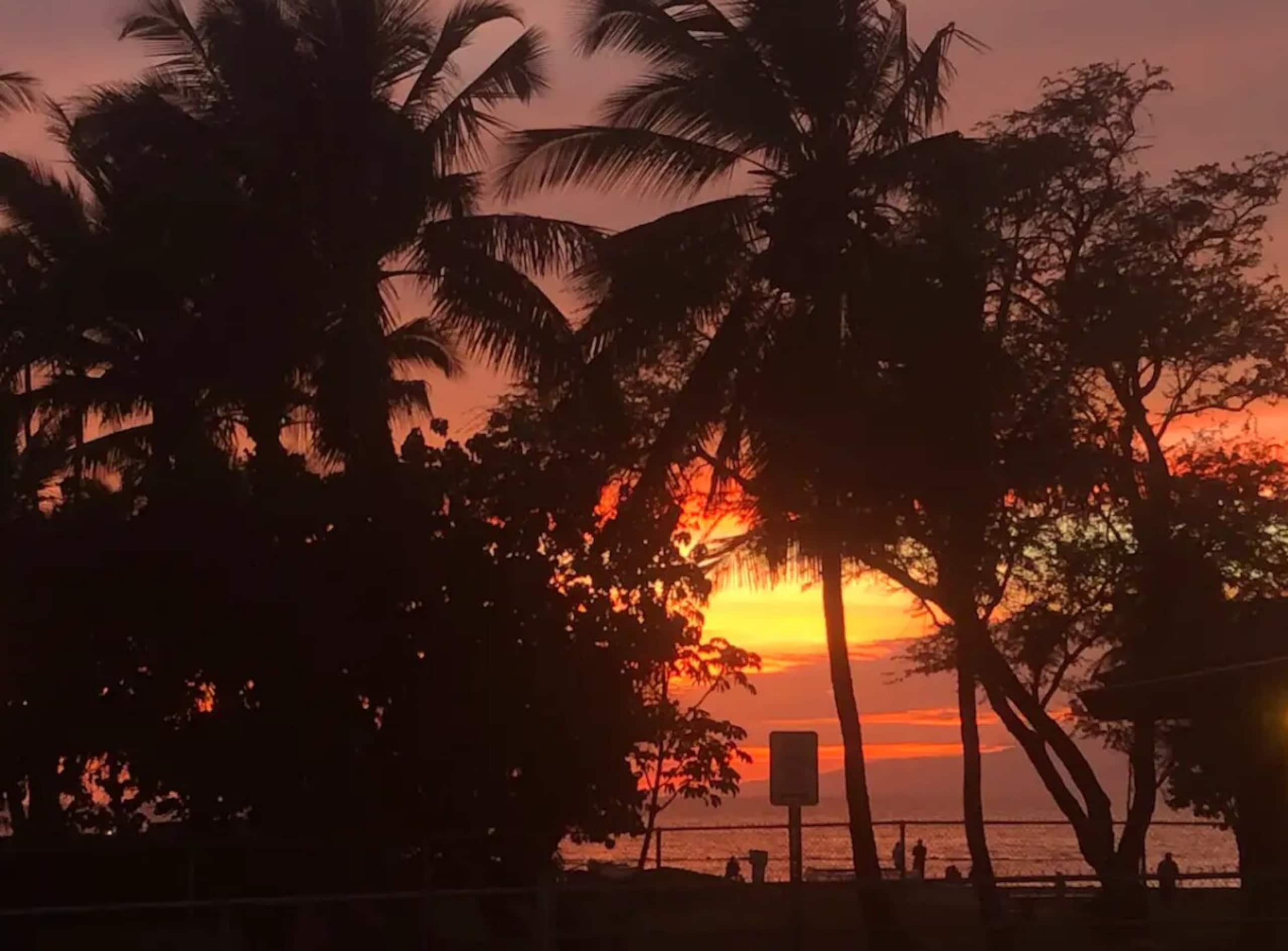 Maui Ocean Escape - Photo 27