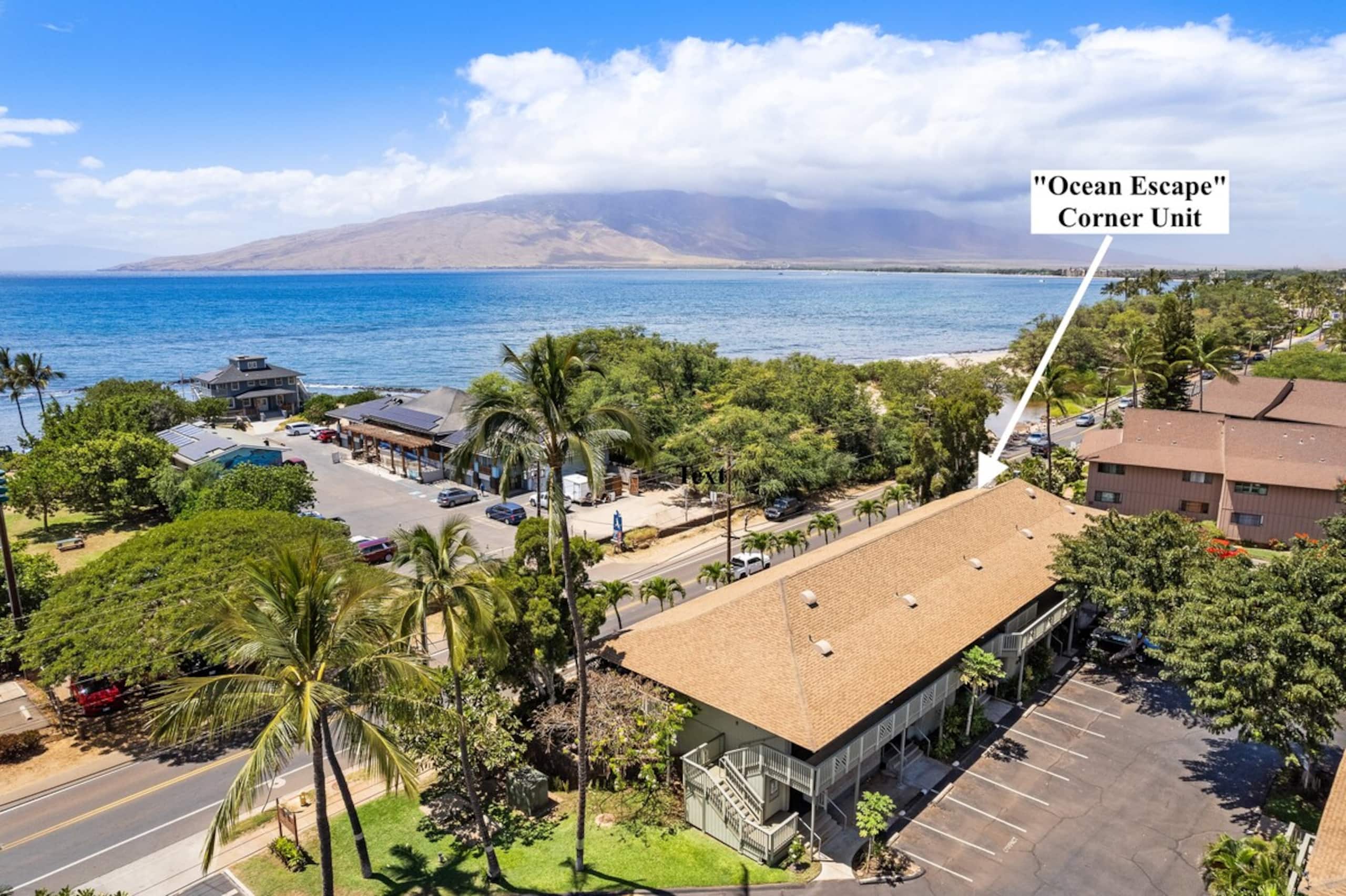 Maui Ocean Escape - Photo 35