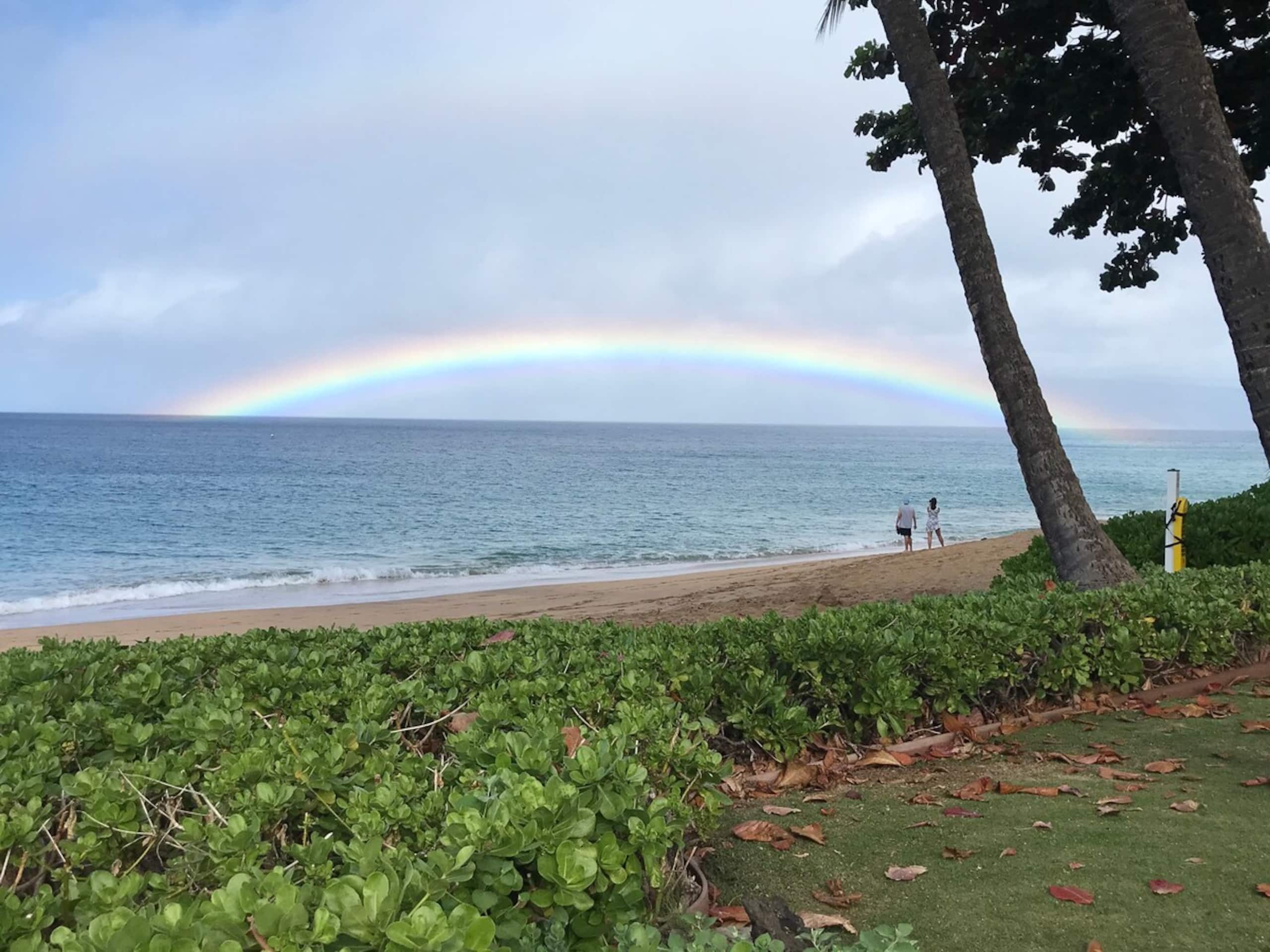 WOW-Large Maui Eldorado C205 2bd/2ba -5 View - Photo 5