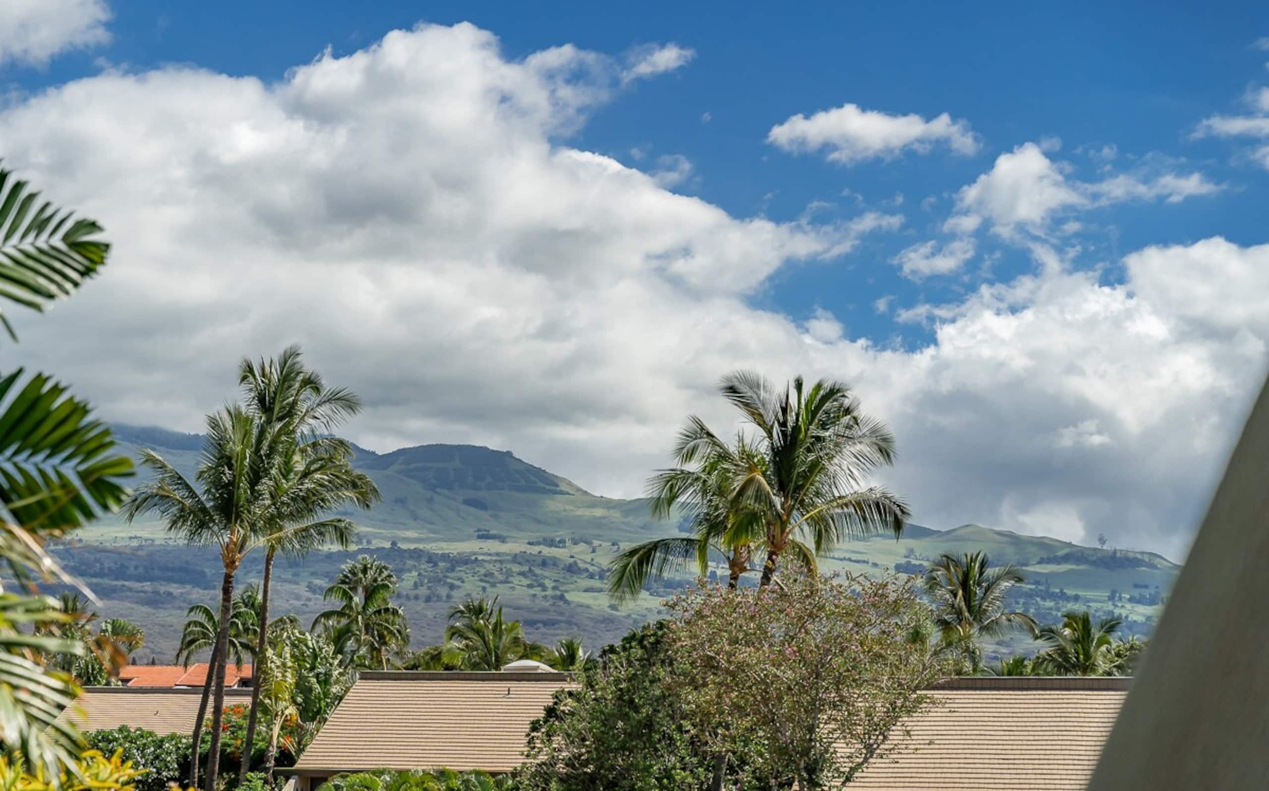 Updated&Quiet Pools&BBQ Steps to Kama'ole Beach - Photo 59