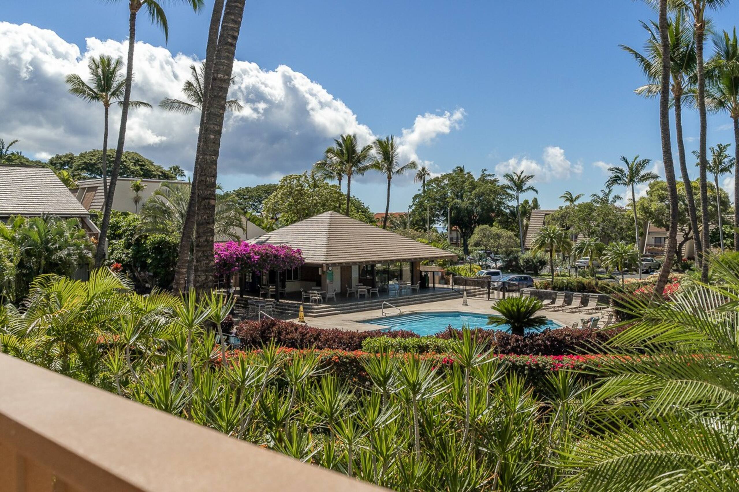 Updated&Quiet Pools&BBQ Steps to Kama'ole Beach - Photo 51