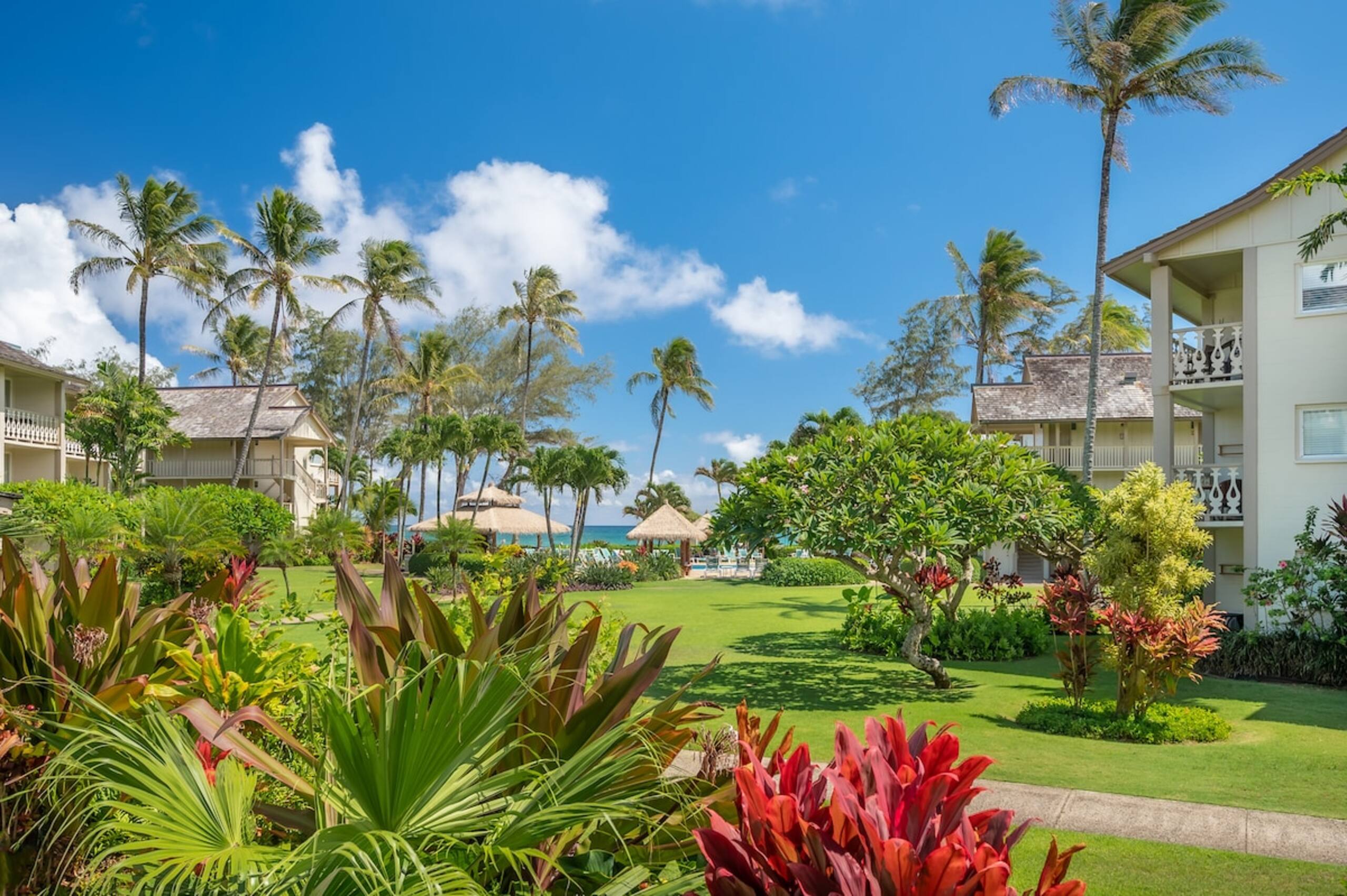 Stunning Tropical View & Ocean View Retreat - Photo 17