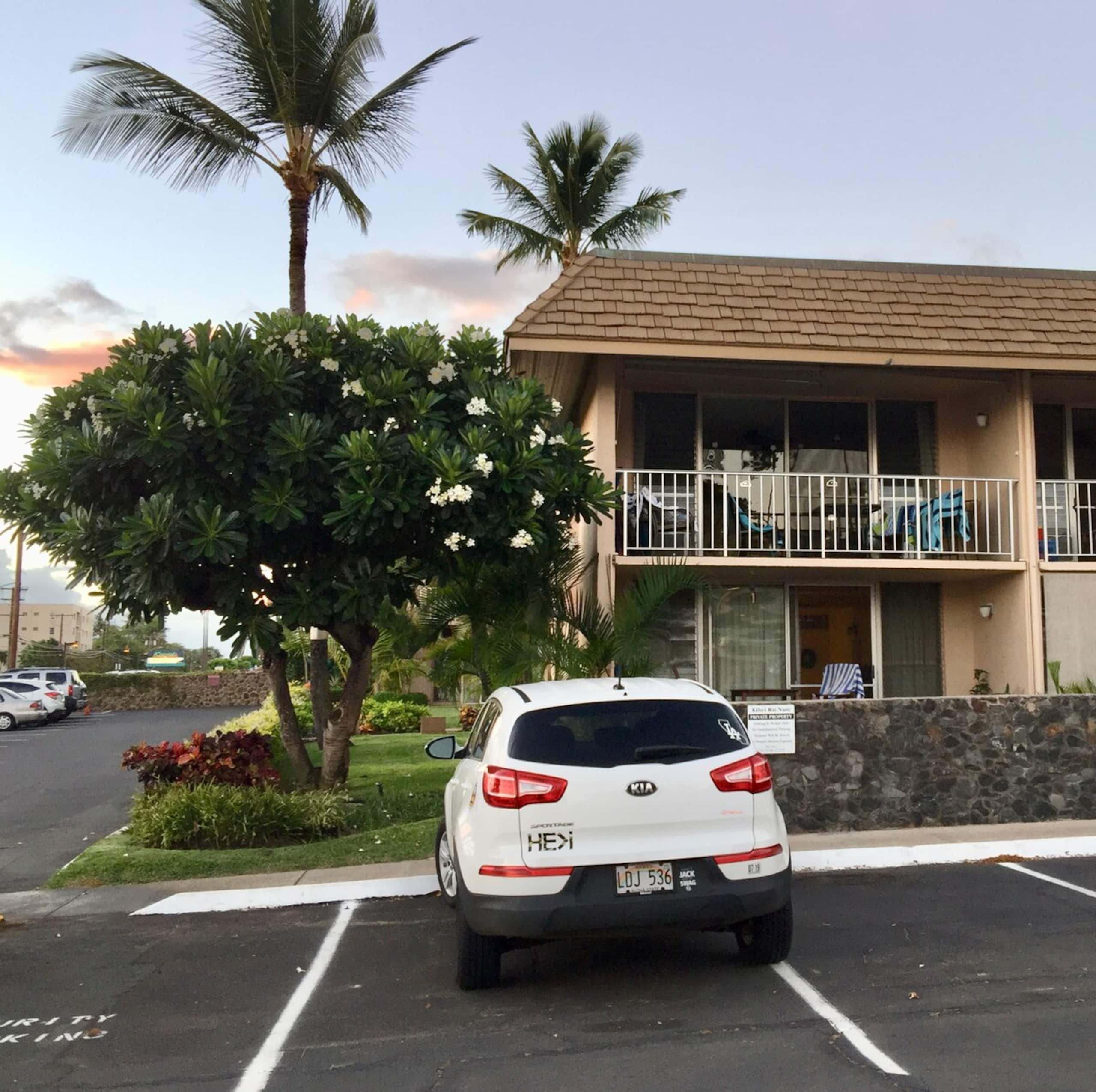 Ocean View Superior Deluxe - 200 - Photo 25