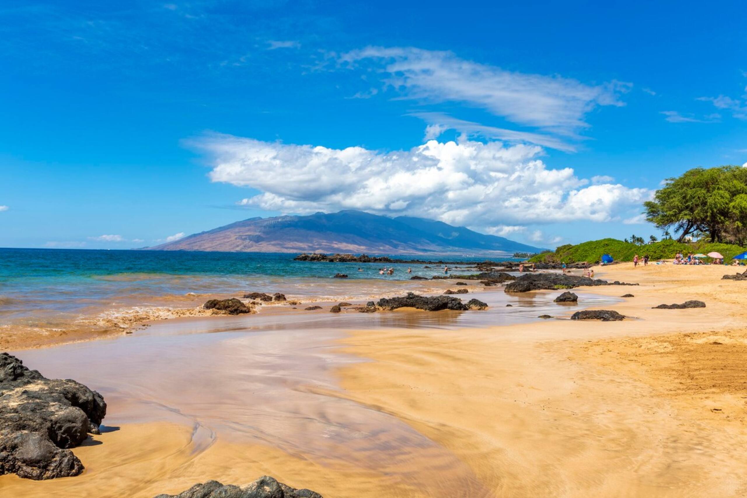 Ocean view condo across Kamaole Beach - Photo 46