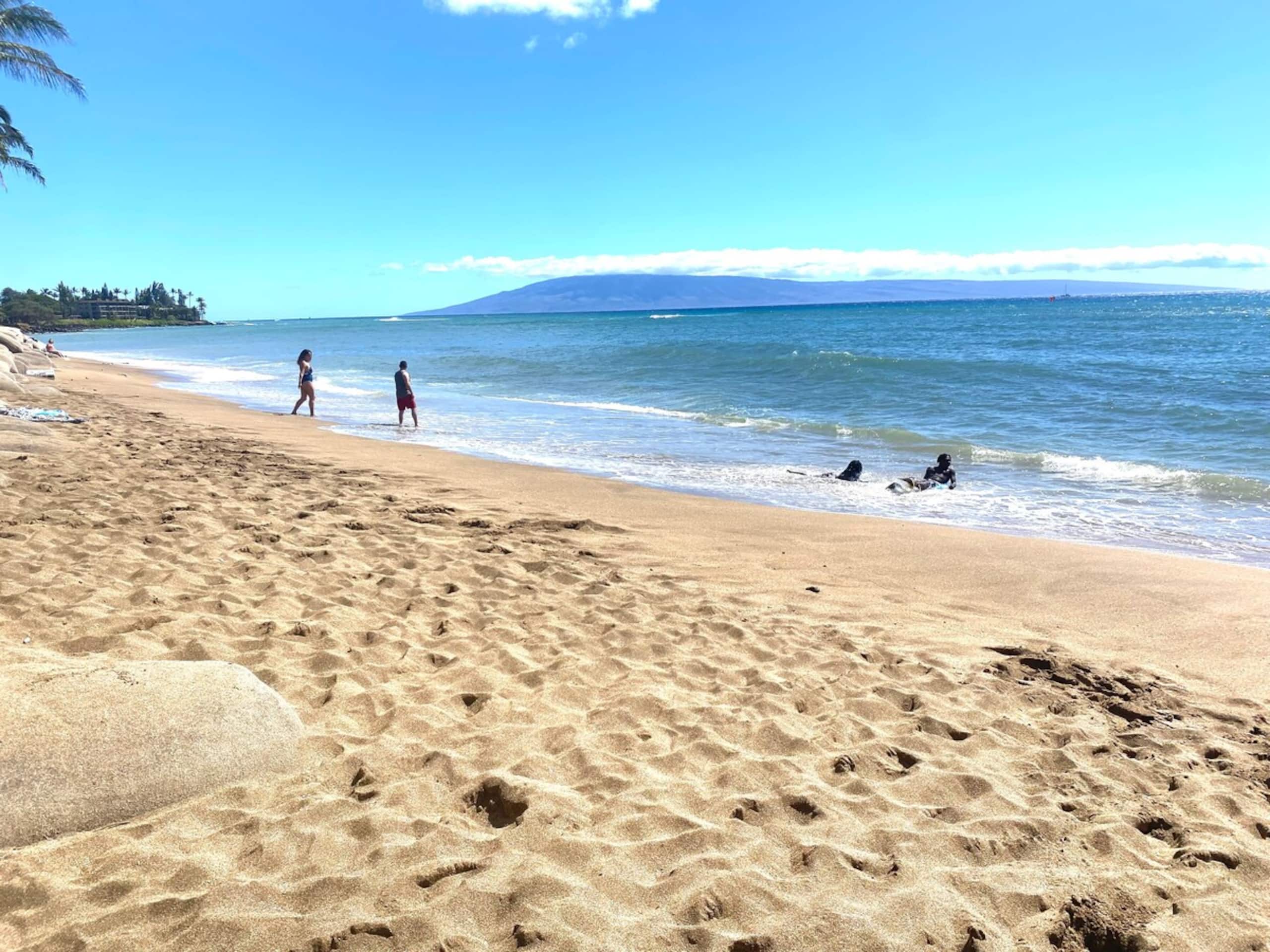 Beautifully 2-BR Oceanfront Condo - Photo 38