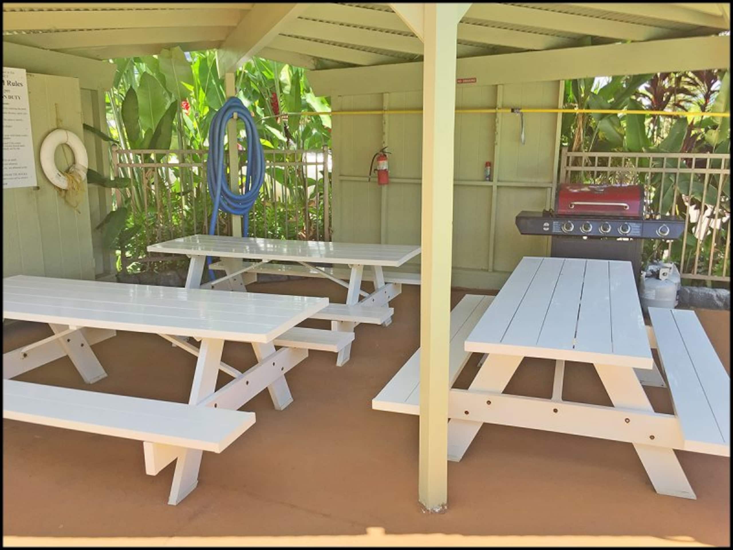 Kapaa Sands Unit 22 - Photo 13