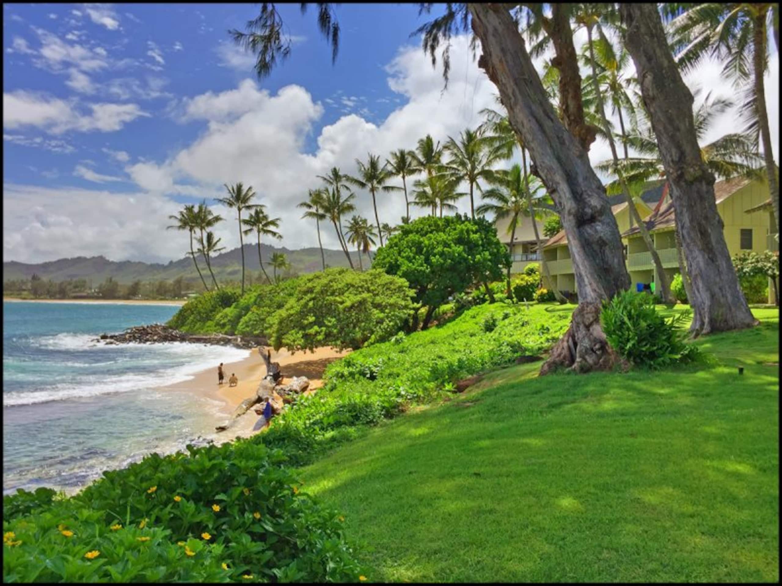 Kapaa Sands Unit 22 - Photo 19