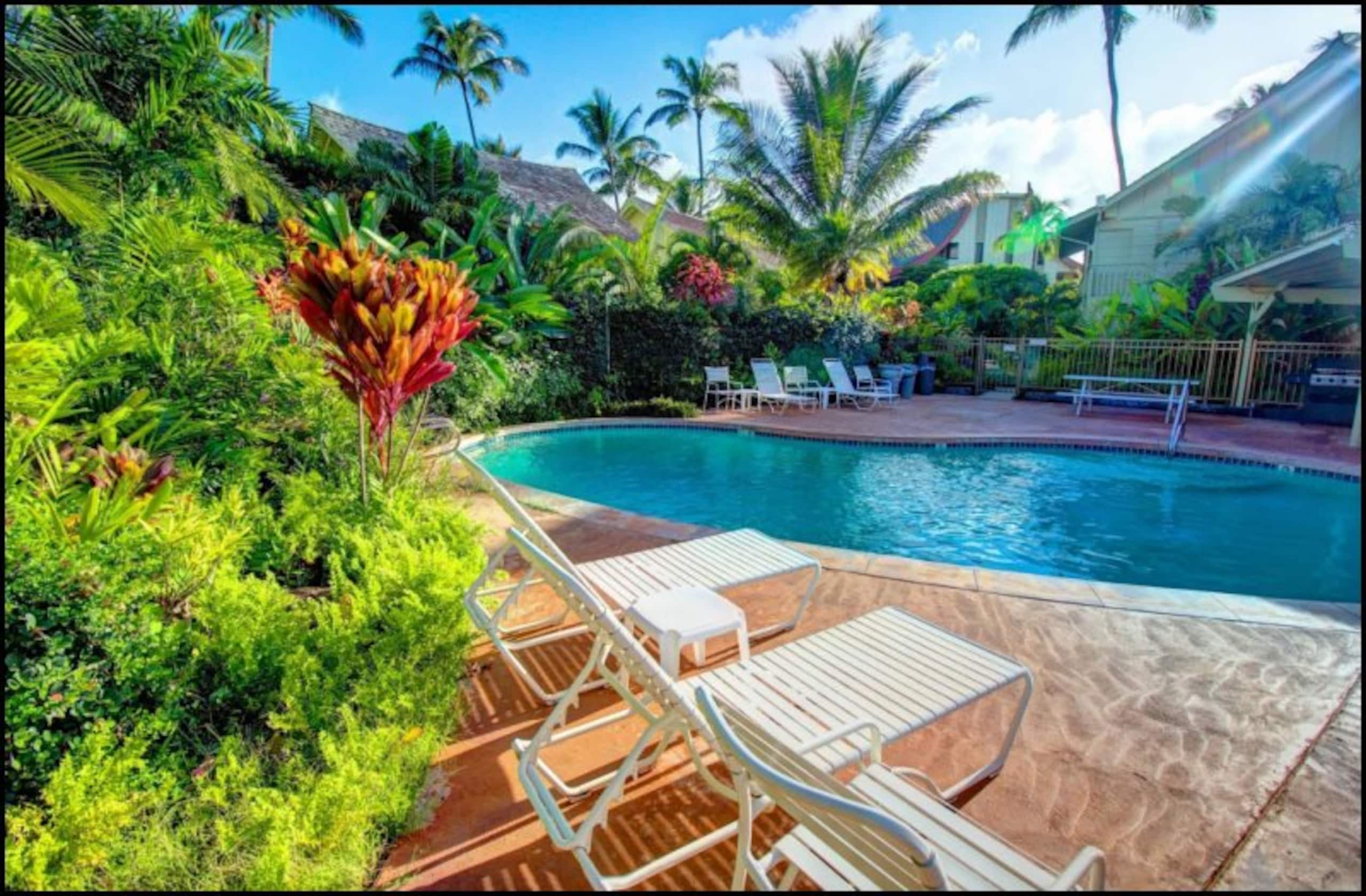 Kapaa Sands Unit 22 - Photo 12