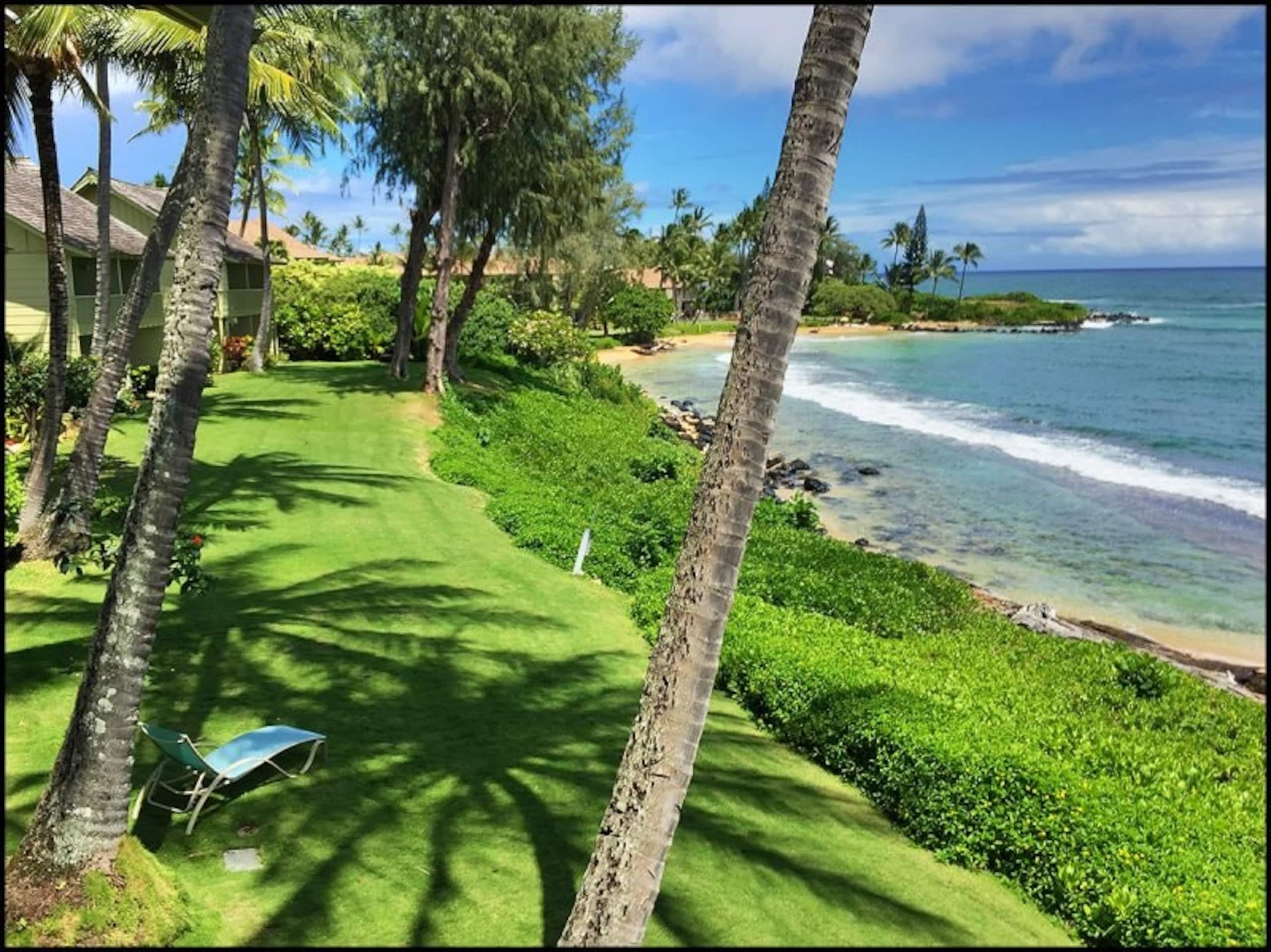 Kapaa Sands Unit 22 - Photo 1