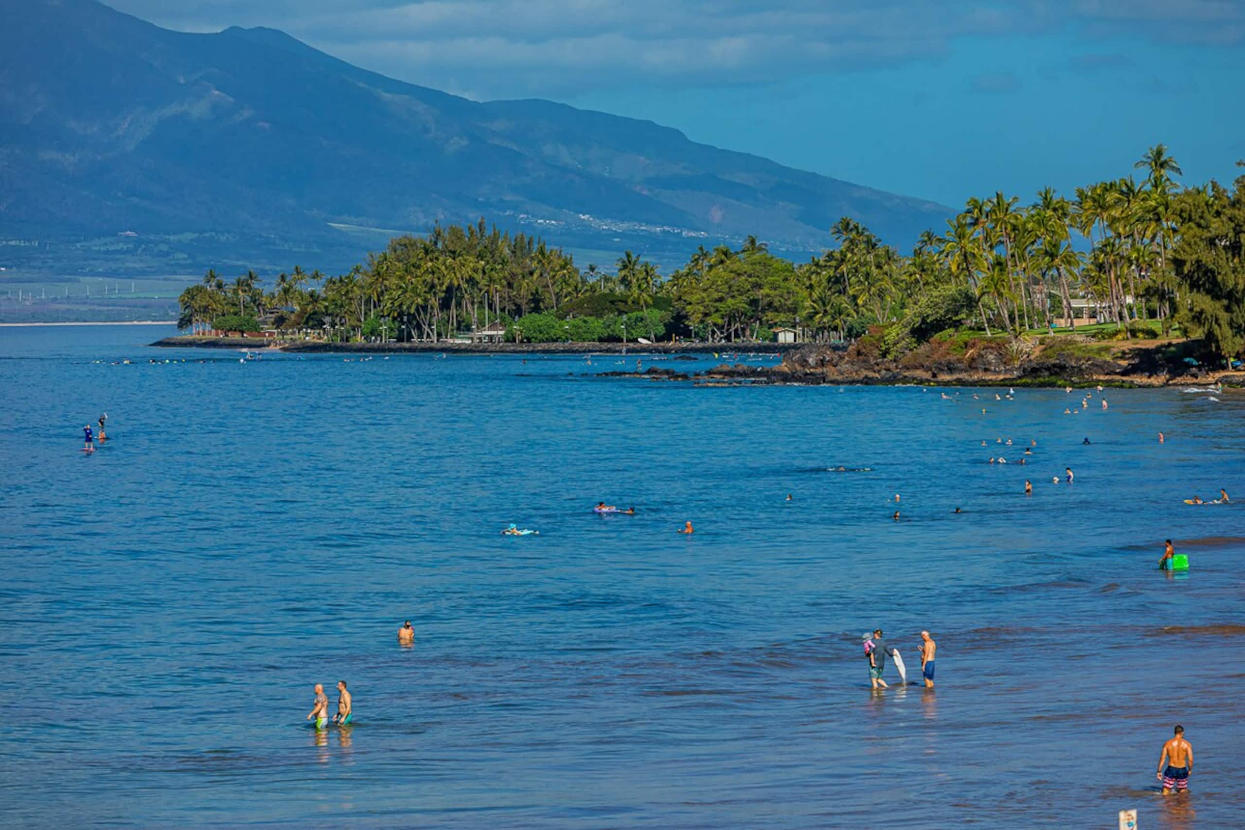 Kihei Condo Ocean View Lanai & Pool, Walk to Beach - Photo 30