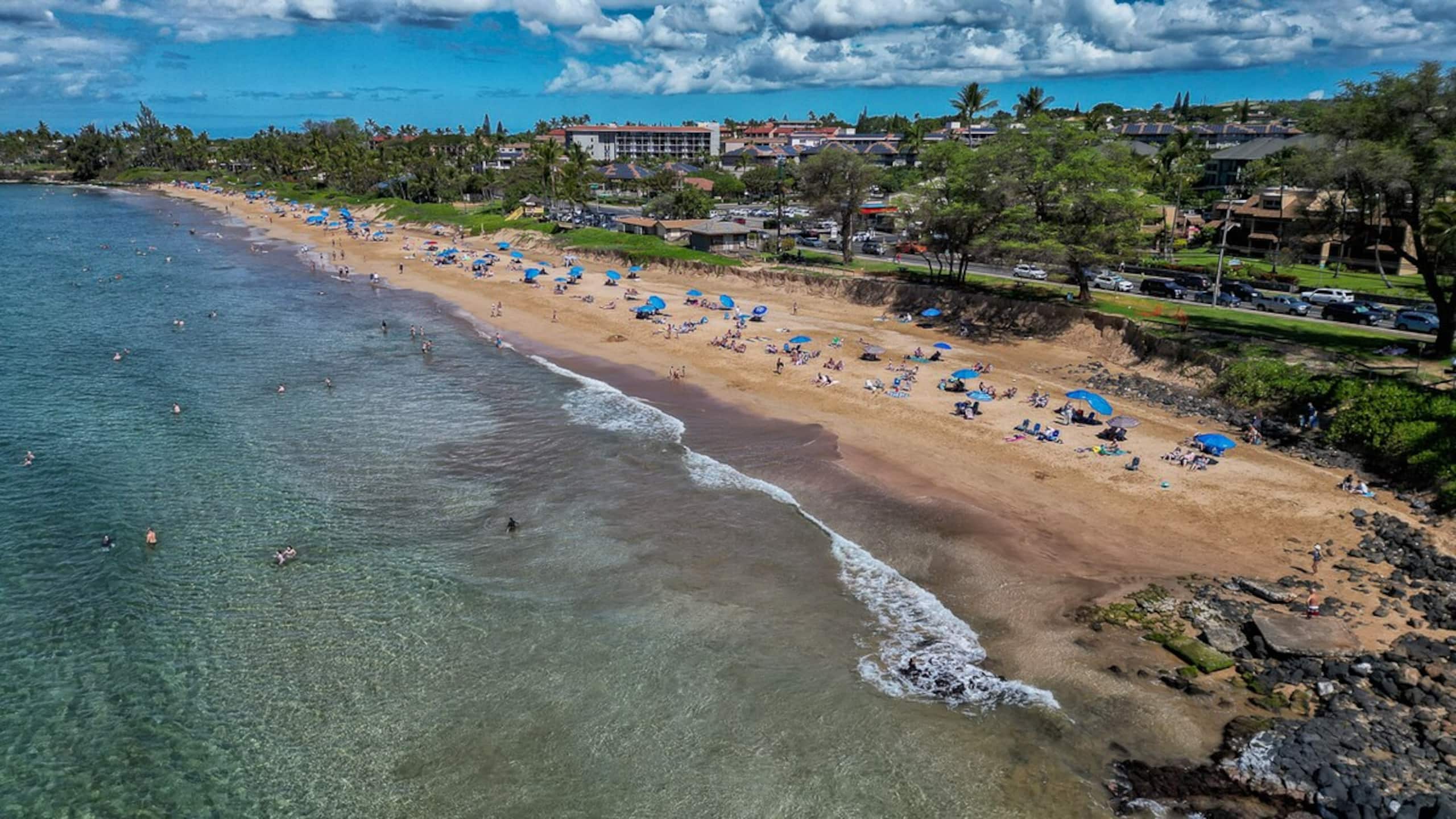 Kihei Condo Ocean View Lanai & Pool, Walk to Beach - Photo 31