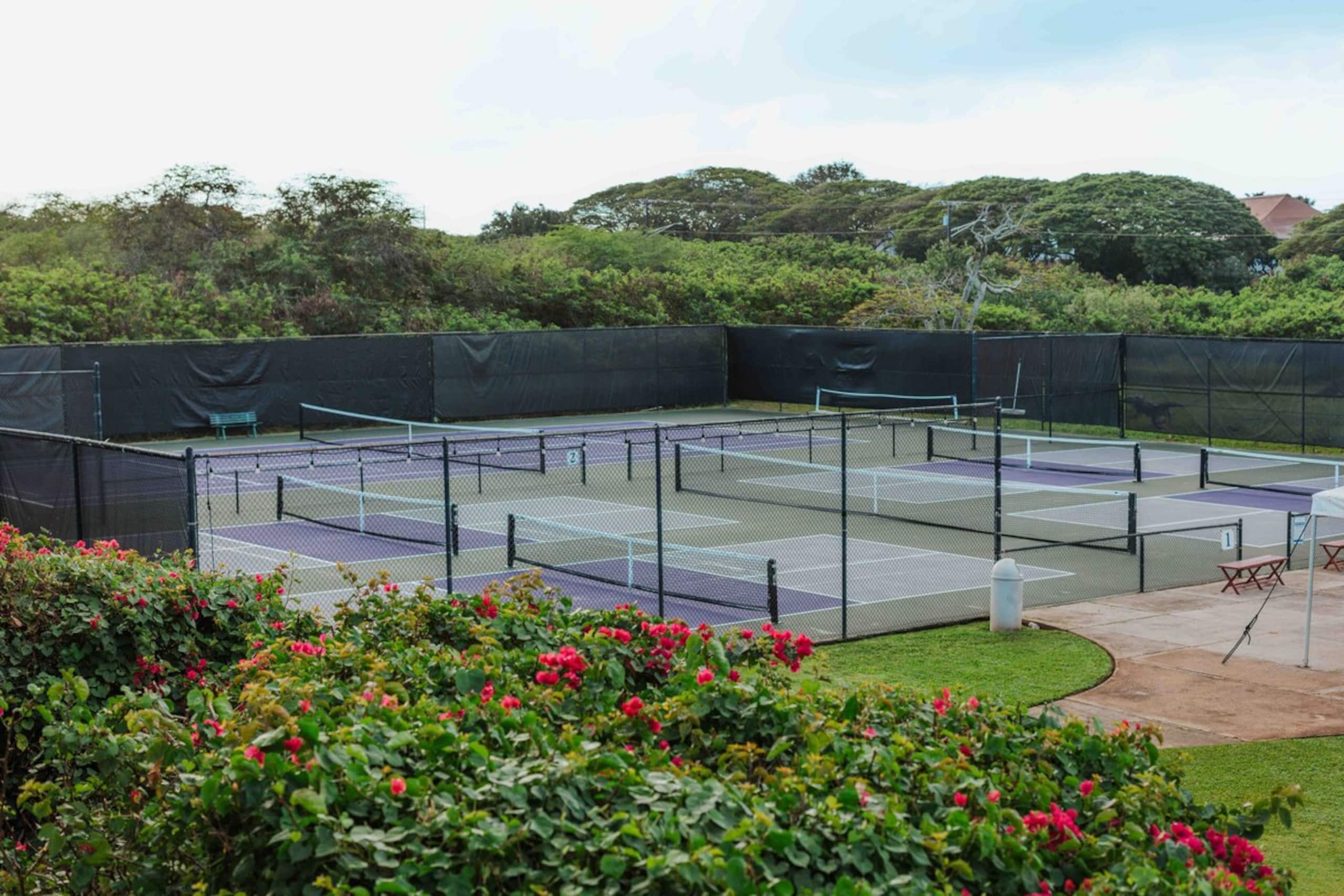 3BR Poipu home, 5min walk to beach - Photo 56