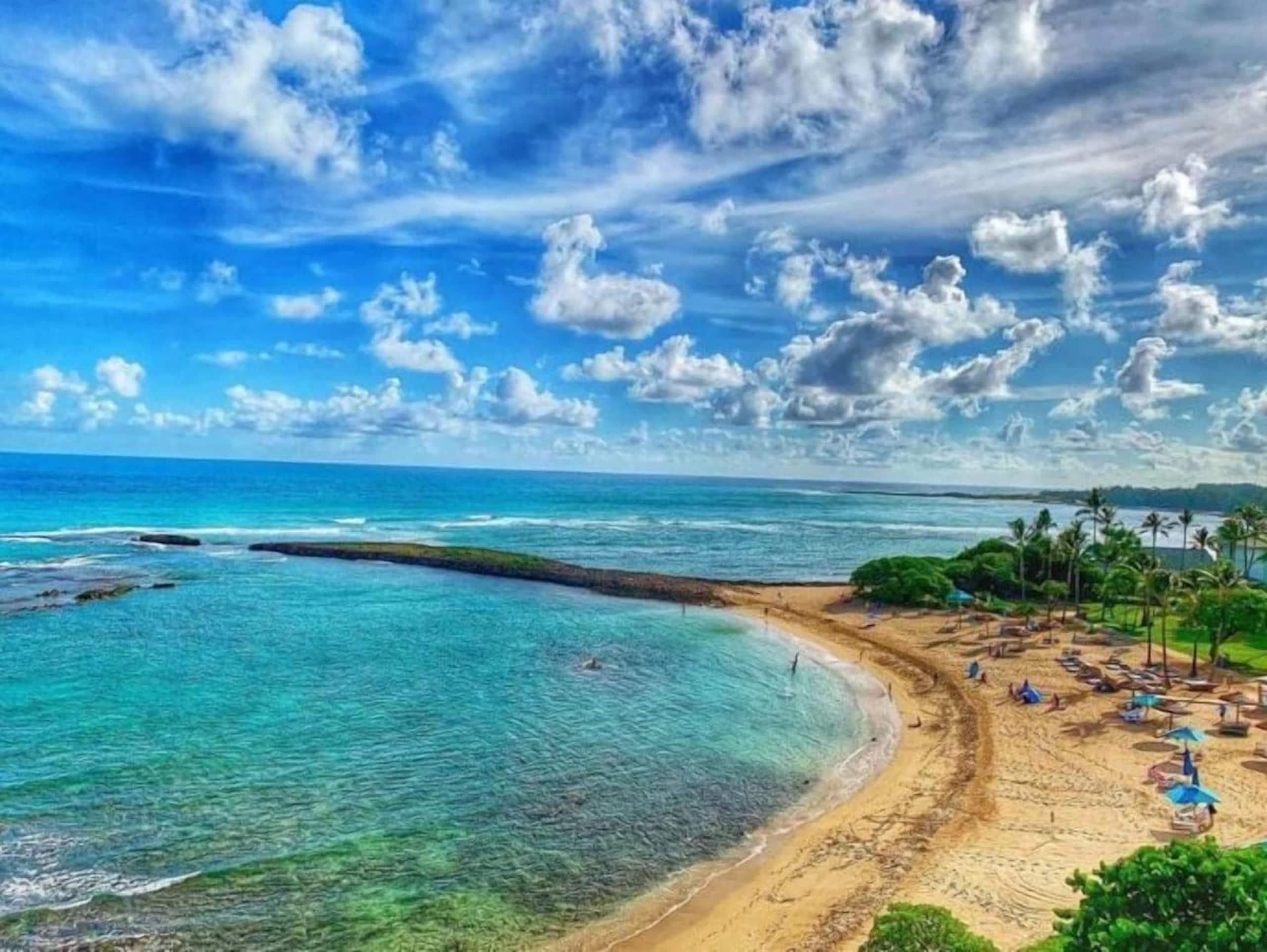New Tiki Terrace StudioTurtle Bay-Near beach,AC - Photo 4