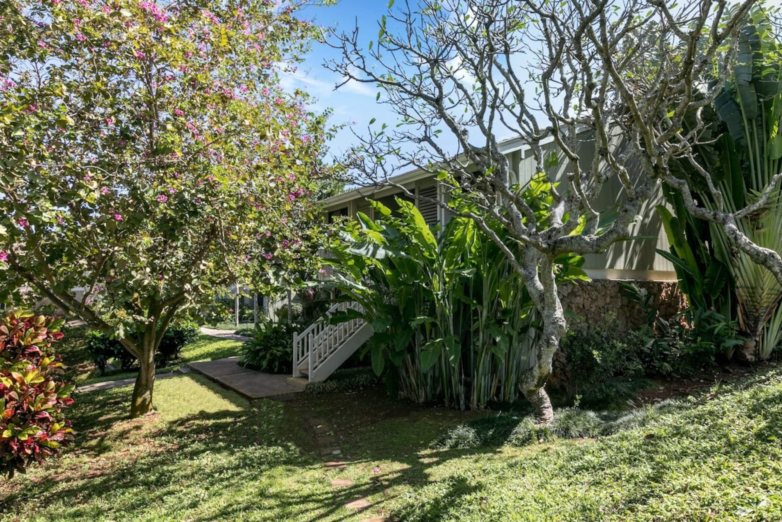 New Tiki Terrace StudioTurtle Bay-Near beach,AC - Photo 28