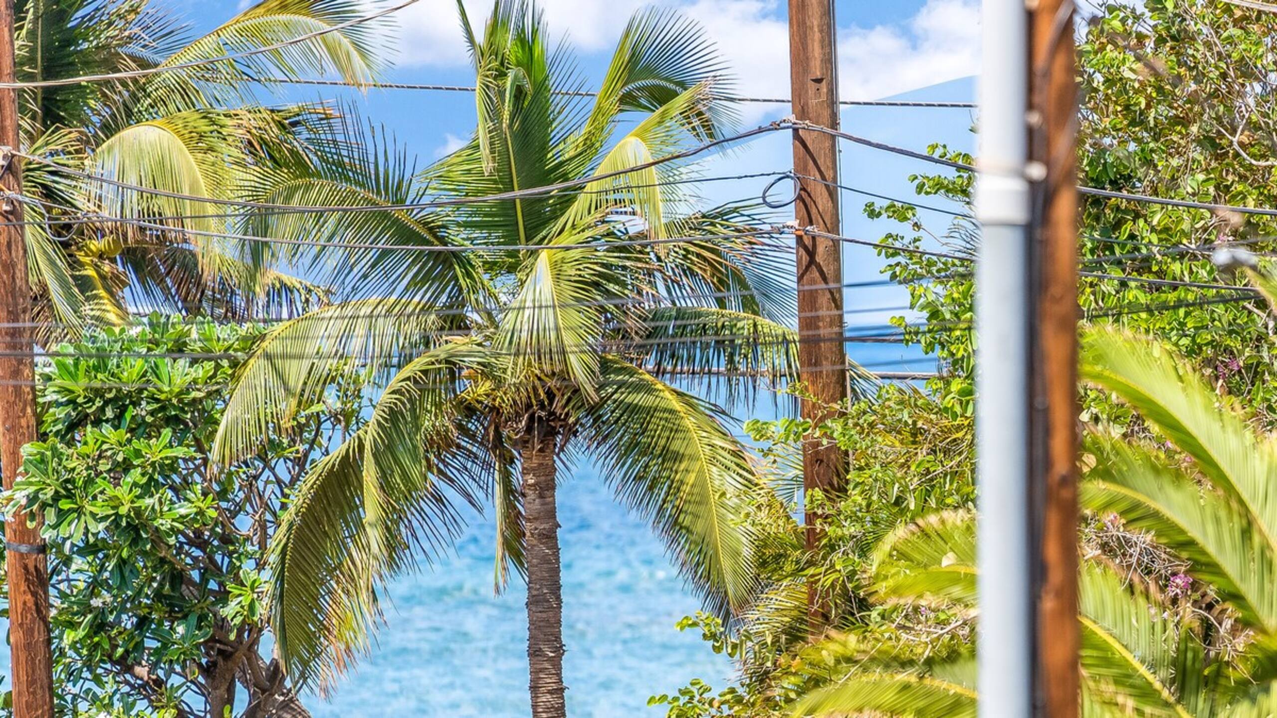 Sleeps 12 Ocean Views 4 BD/4BA 2 Reno Condos - Photo 69