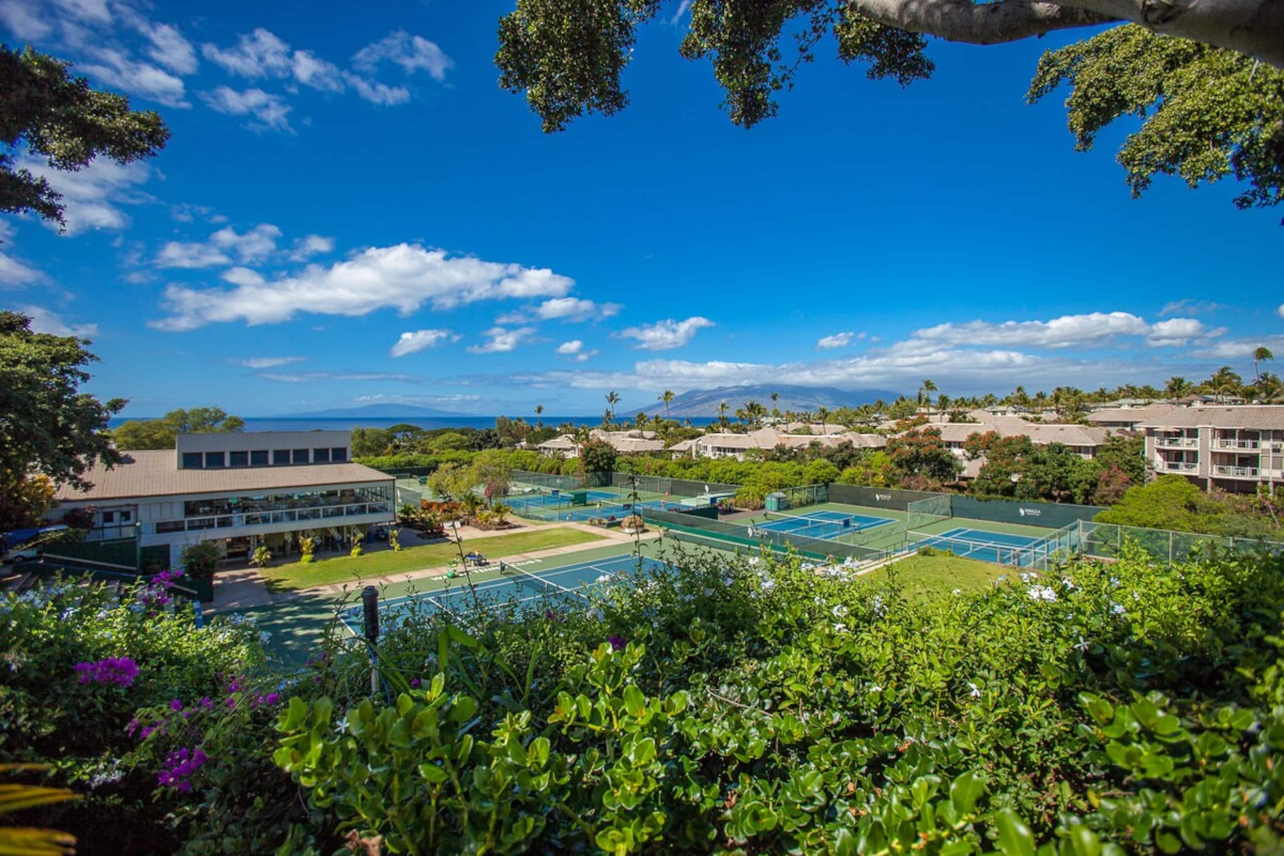 2BR Wailea condo w/ pool and Jacuzzi - Photo 41