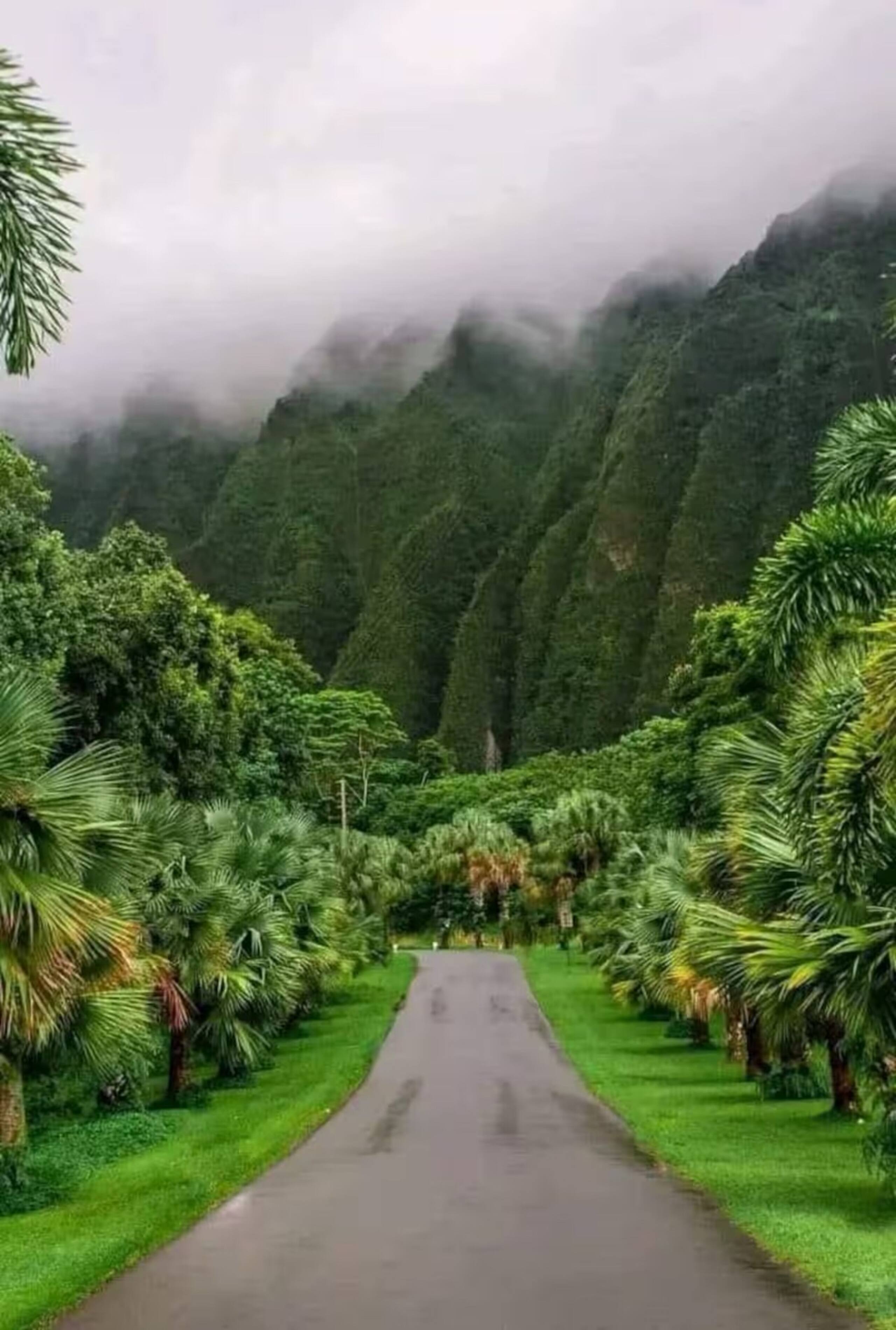 24 fl Studio- Oahu Oasis 1 King Bed - Photo 27
