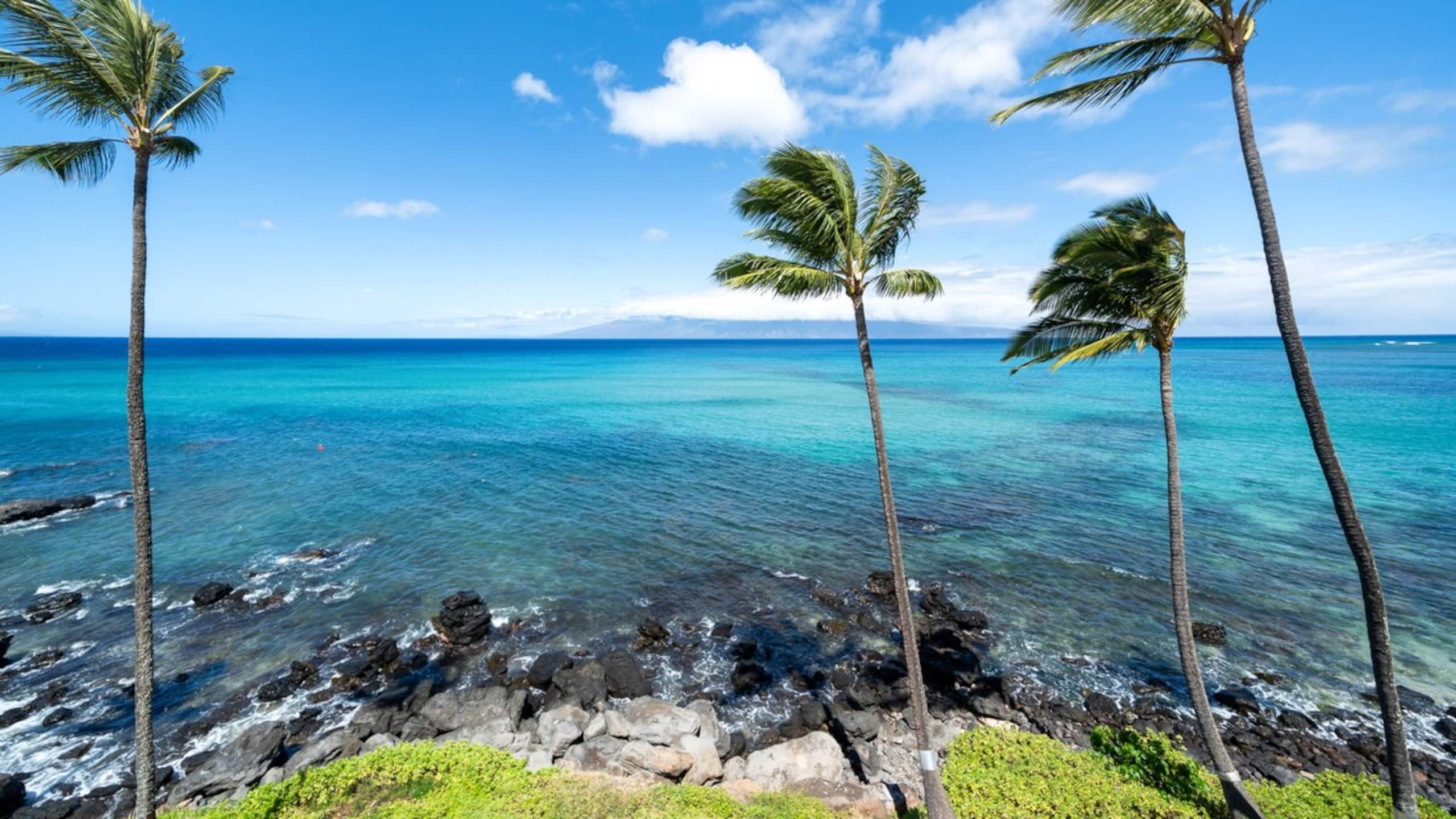 Stunning Oceanfront Sunsets for the entire family - Photo 69