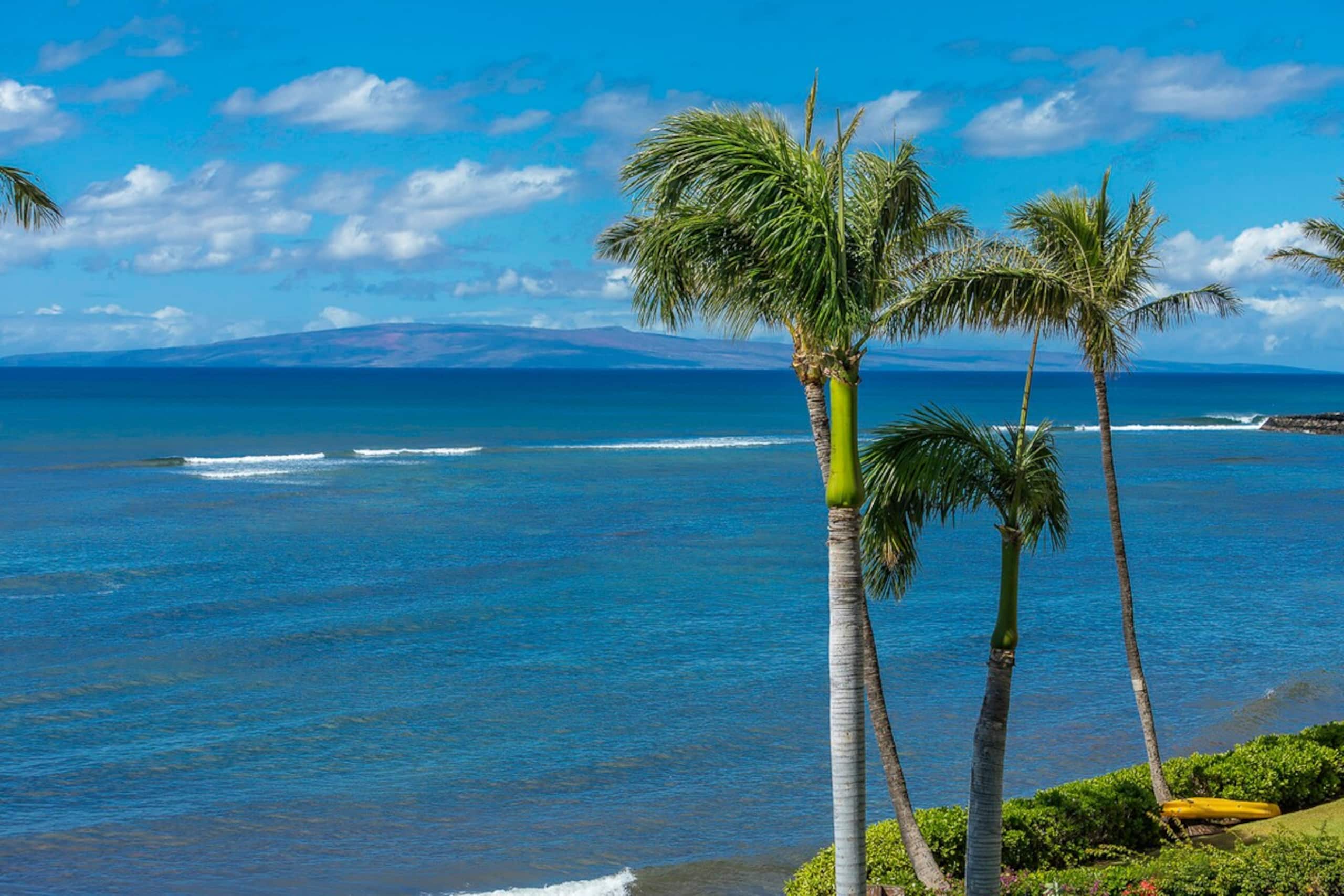 Beachfront condo w/ pool and hot tub Maui - Photo 46