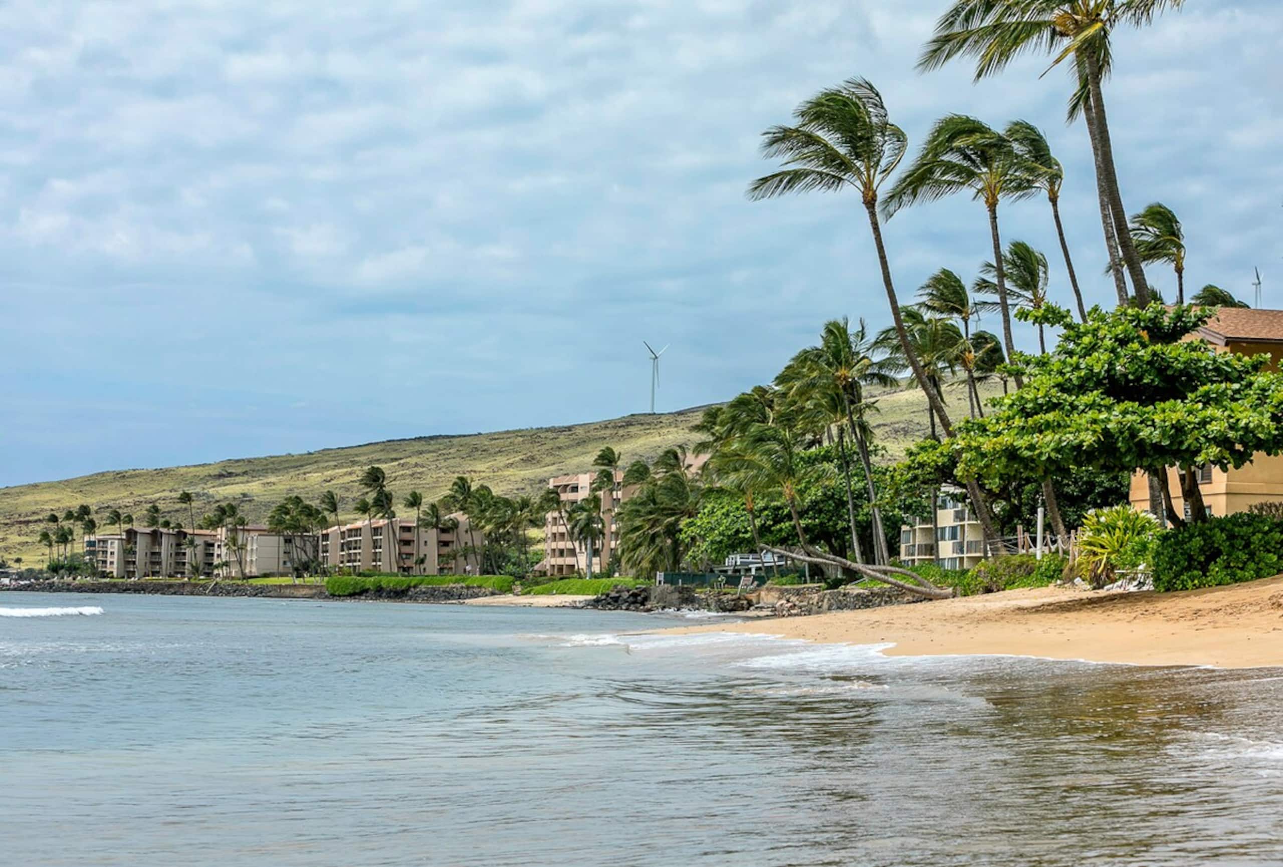 Beachfront condo w/ pool and hot tub Maui - Photo 28