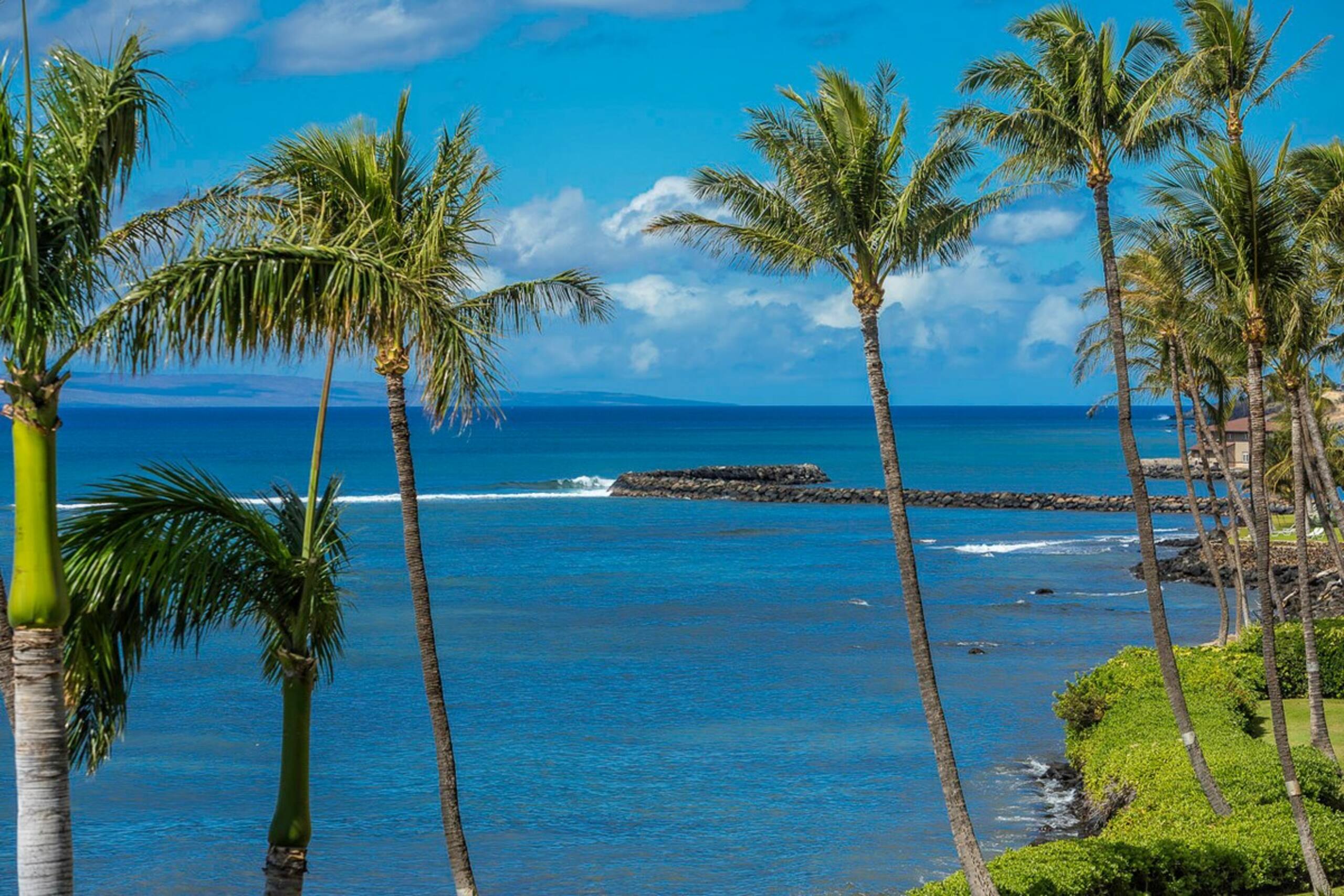 Beachfront condo w/ pool and hot tub Maui - Photo 47