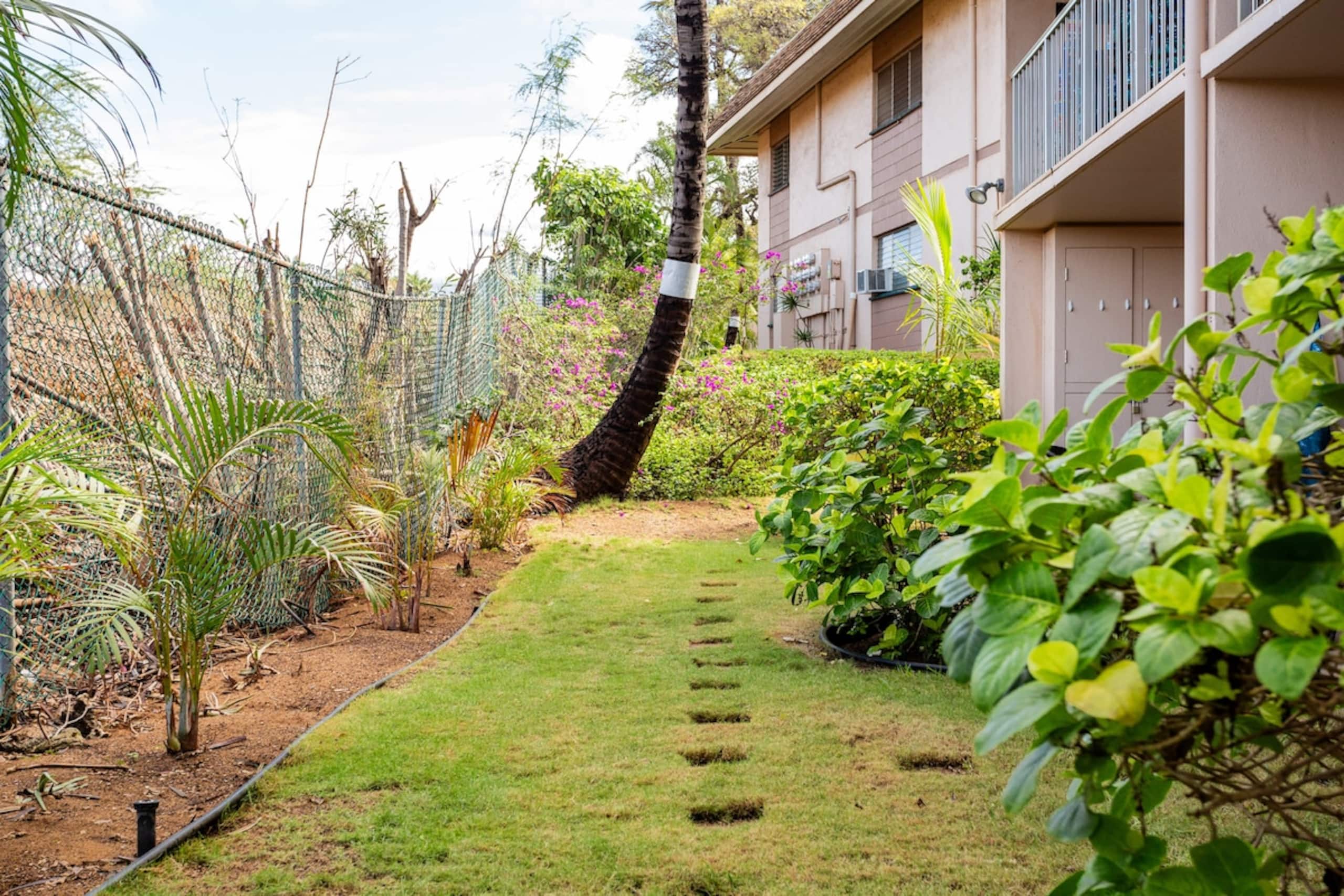 Affordable Maui Accommod. in a HOTEL Zoned Resort - Photo 26