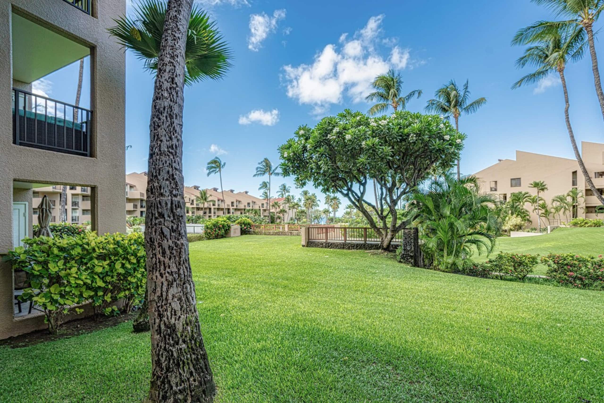 Kamaole Sands 5-112-Rare 2 Bedroom Ground Floor-AC - Photo 12