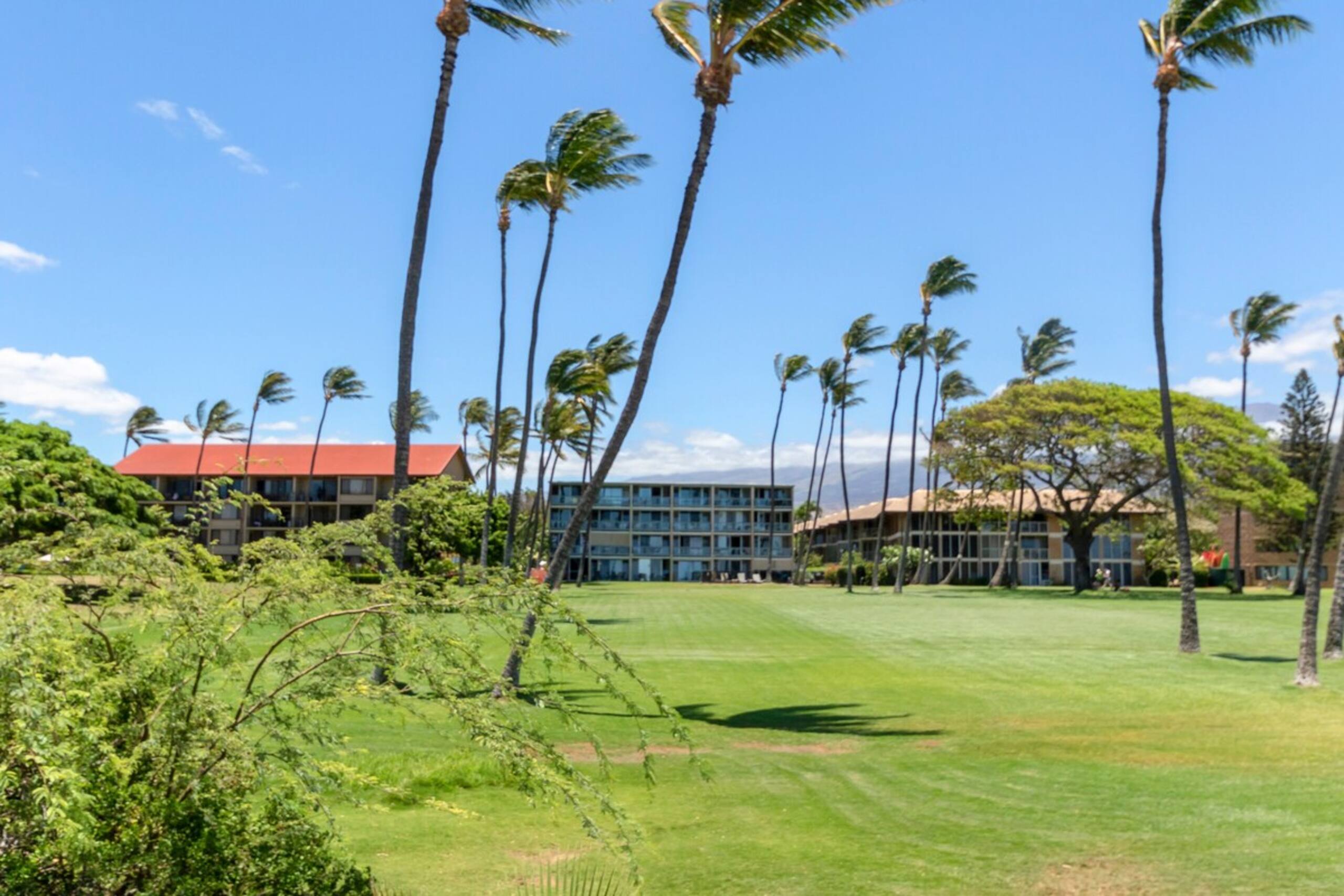 Panoramic Ocean View Fully Renovated A/C LEI203 - Photo 24
