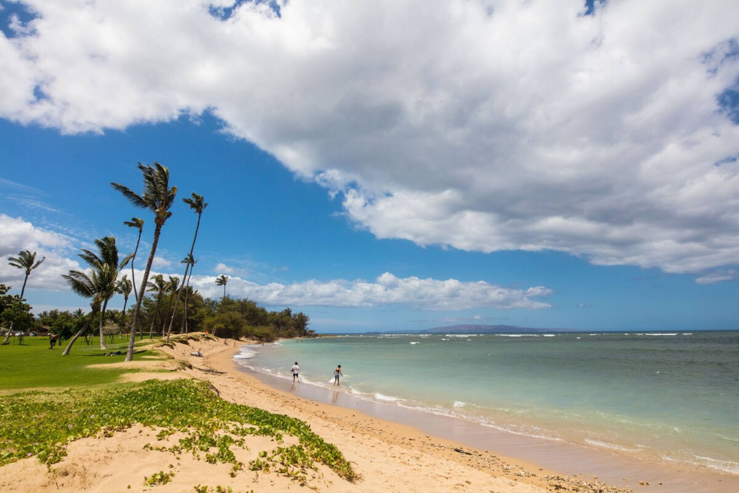 Panoramic Ocean View Fully Renovated A/C LEI203 - Photo 31