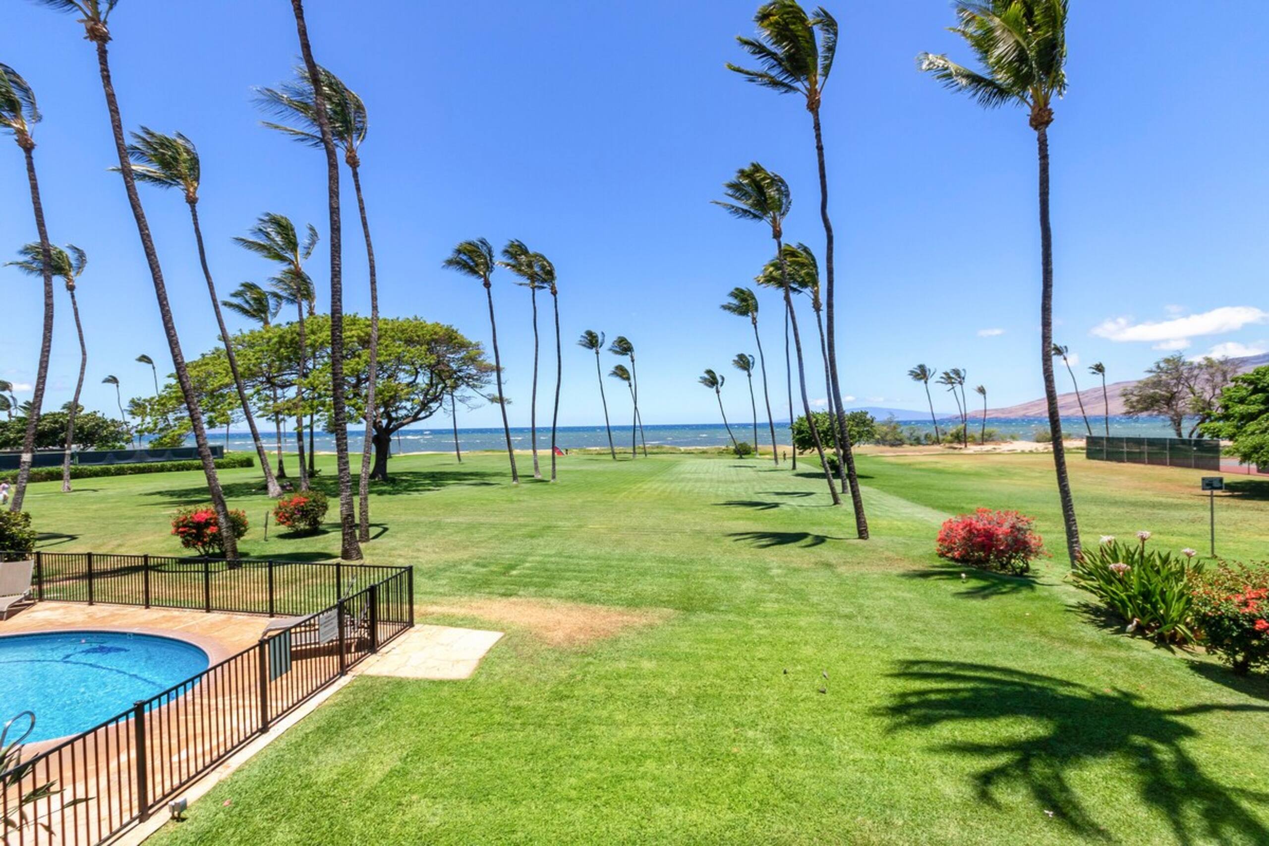 Panoramic Ocean View Fully Renovated A/C LEI203 - Photo 21