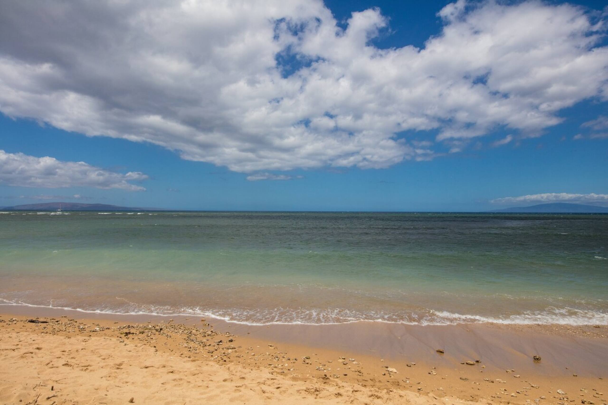 Panoramic Ocean View Fully Renovated A/C LEI203 - Photo 30